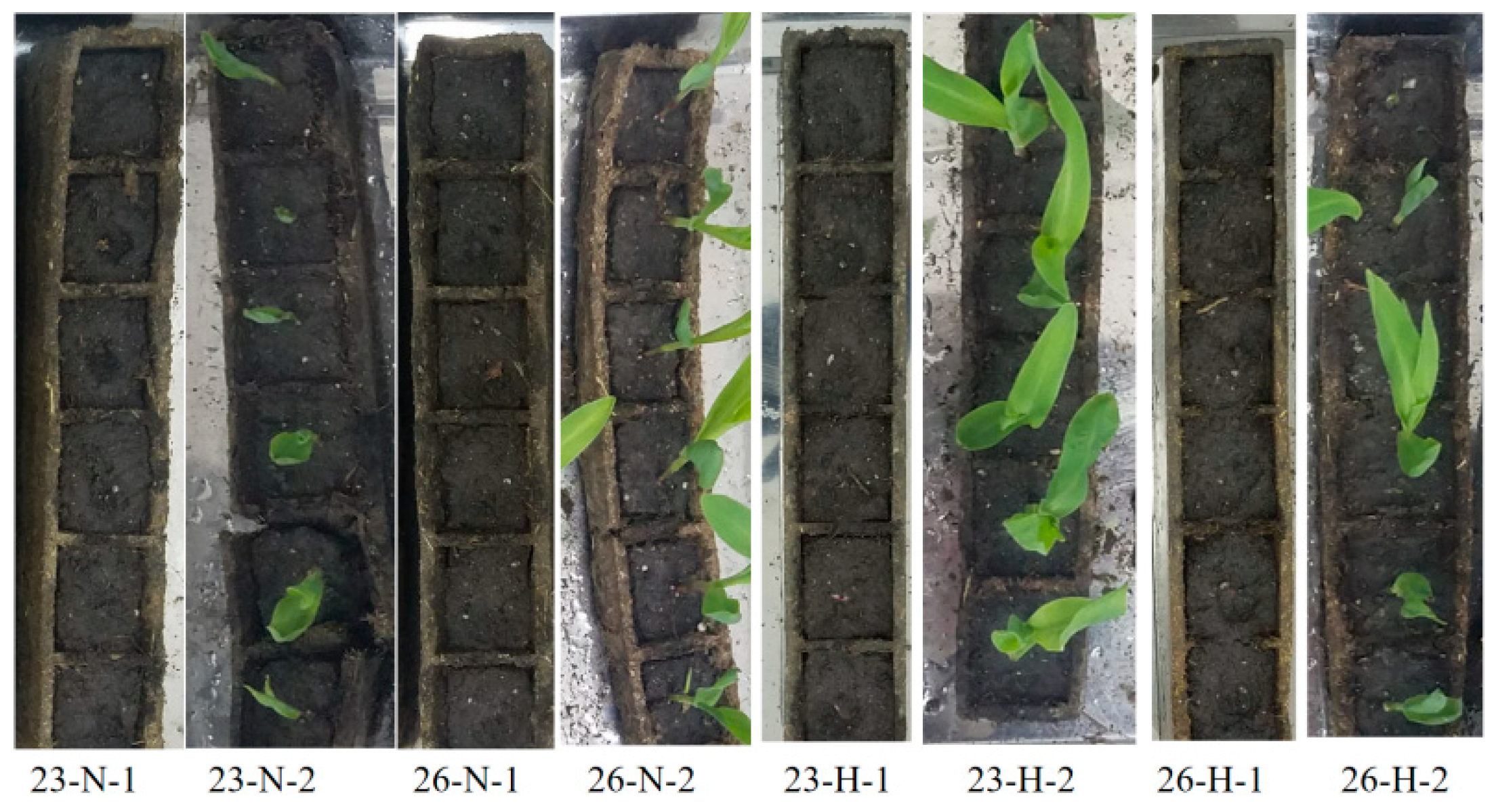 Agronomy 13 00453 g008