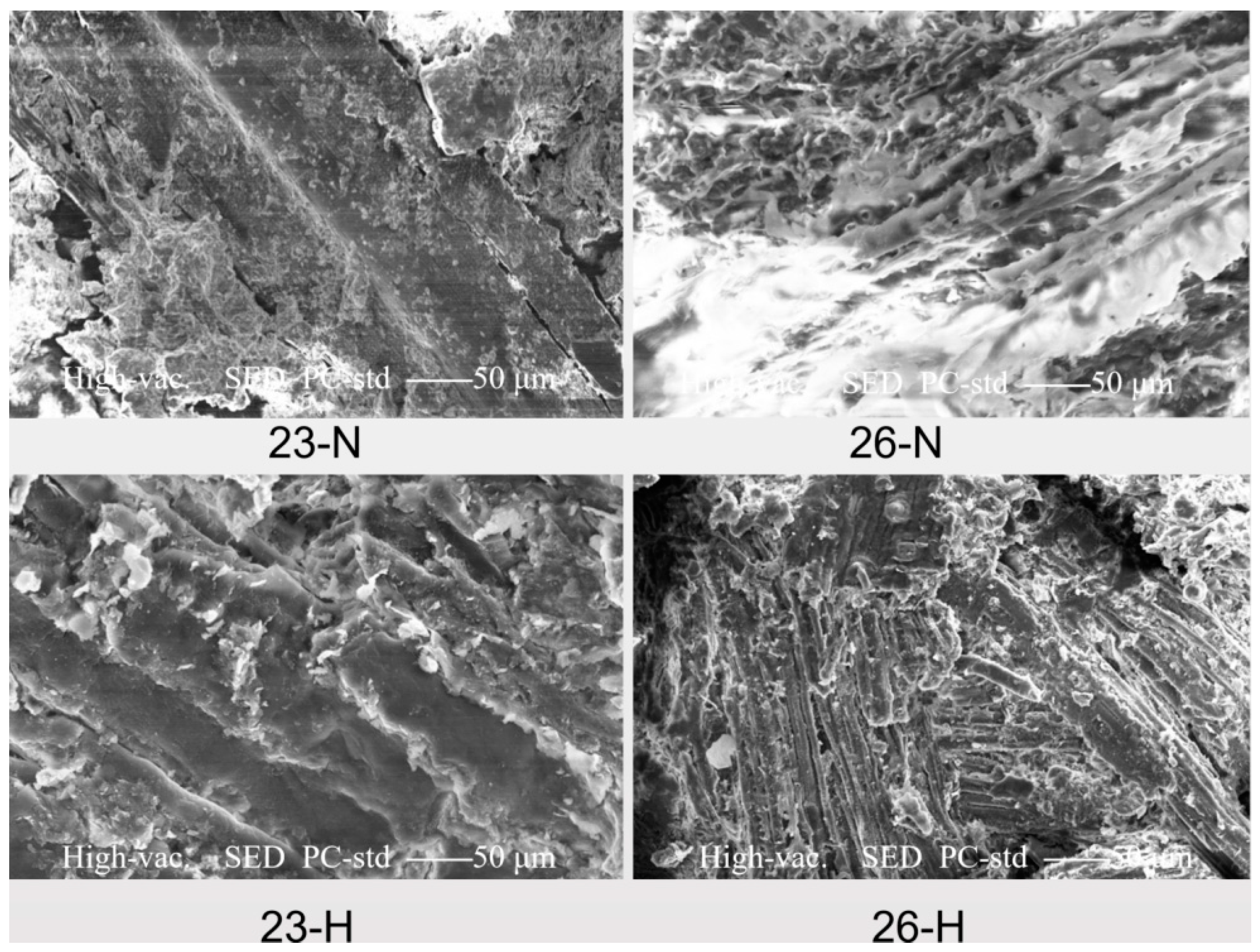 Agronomy 13 00453 g012