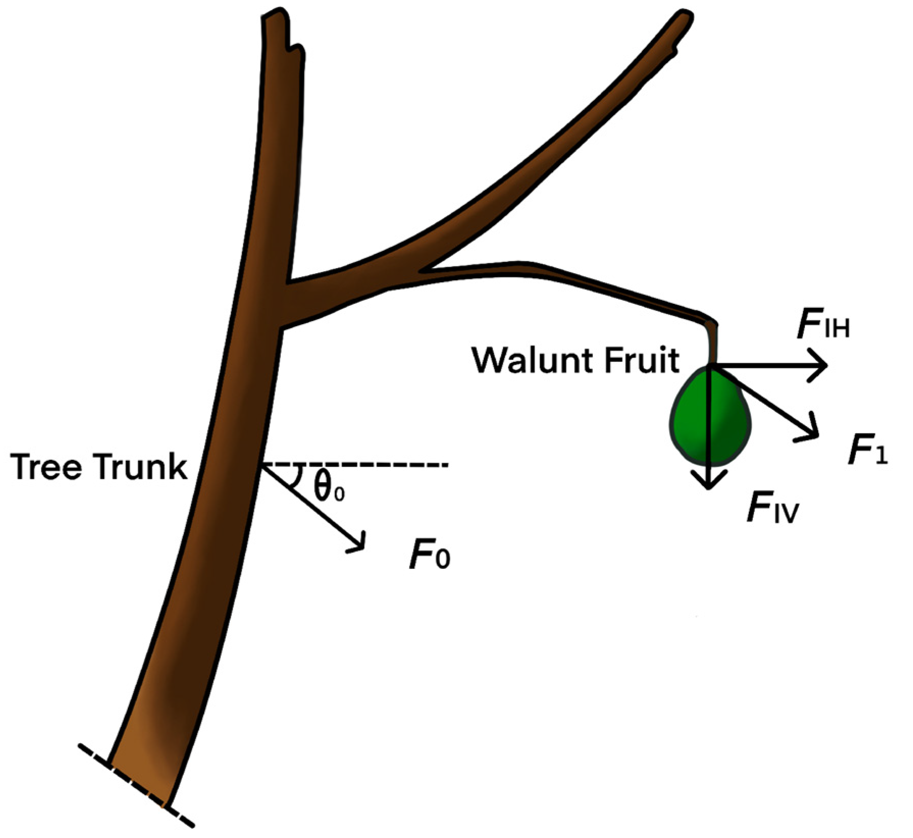 Agronomy 13 00461 g001