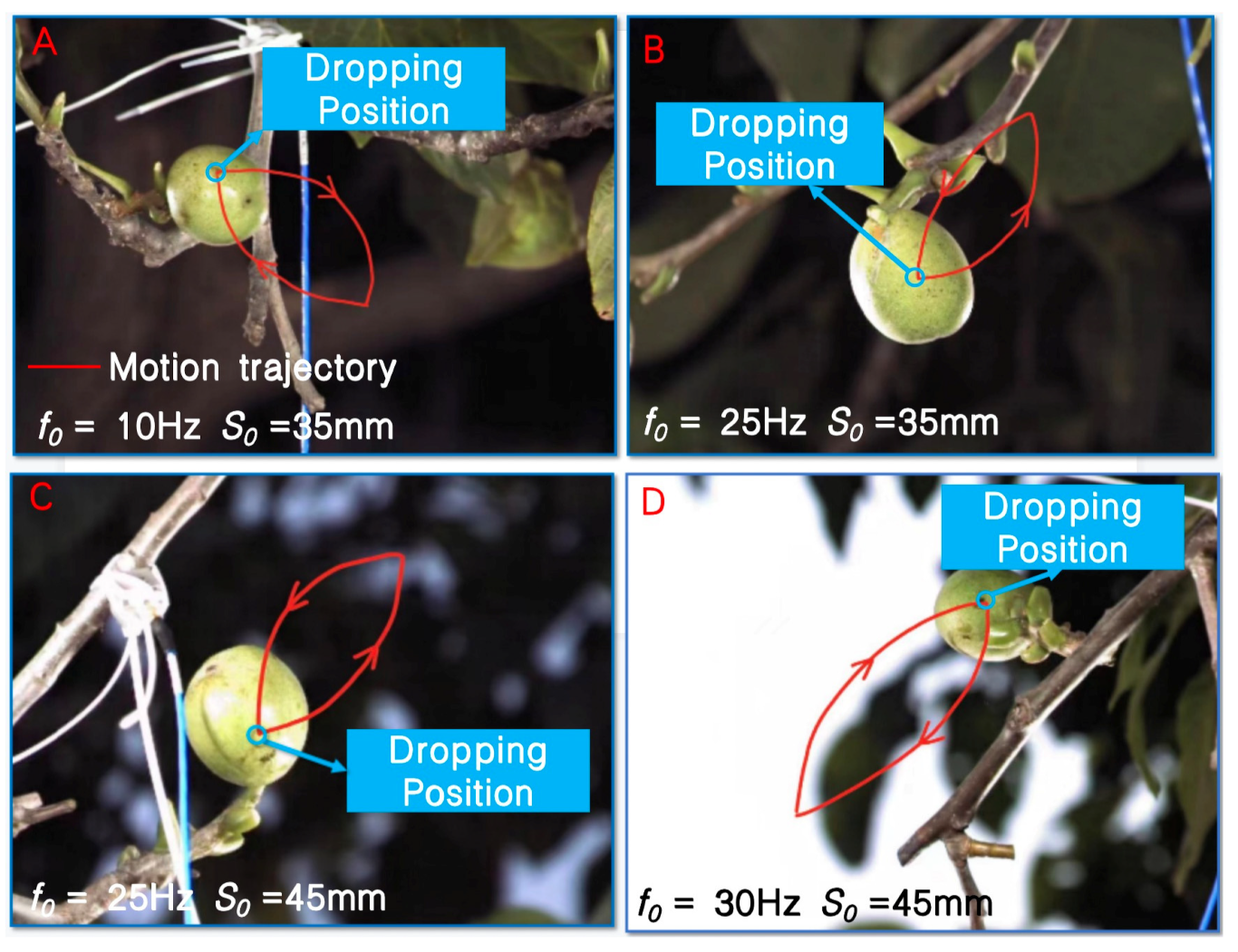 Agronomy 13 00461 g004