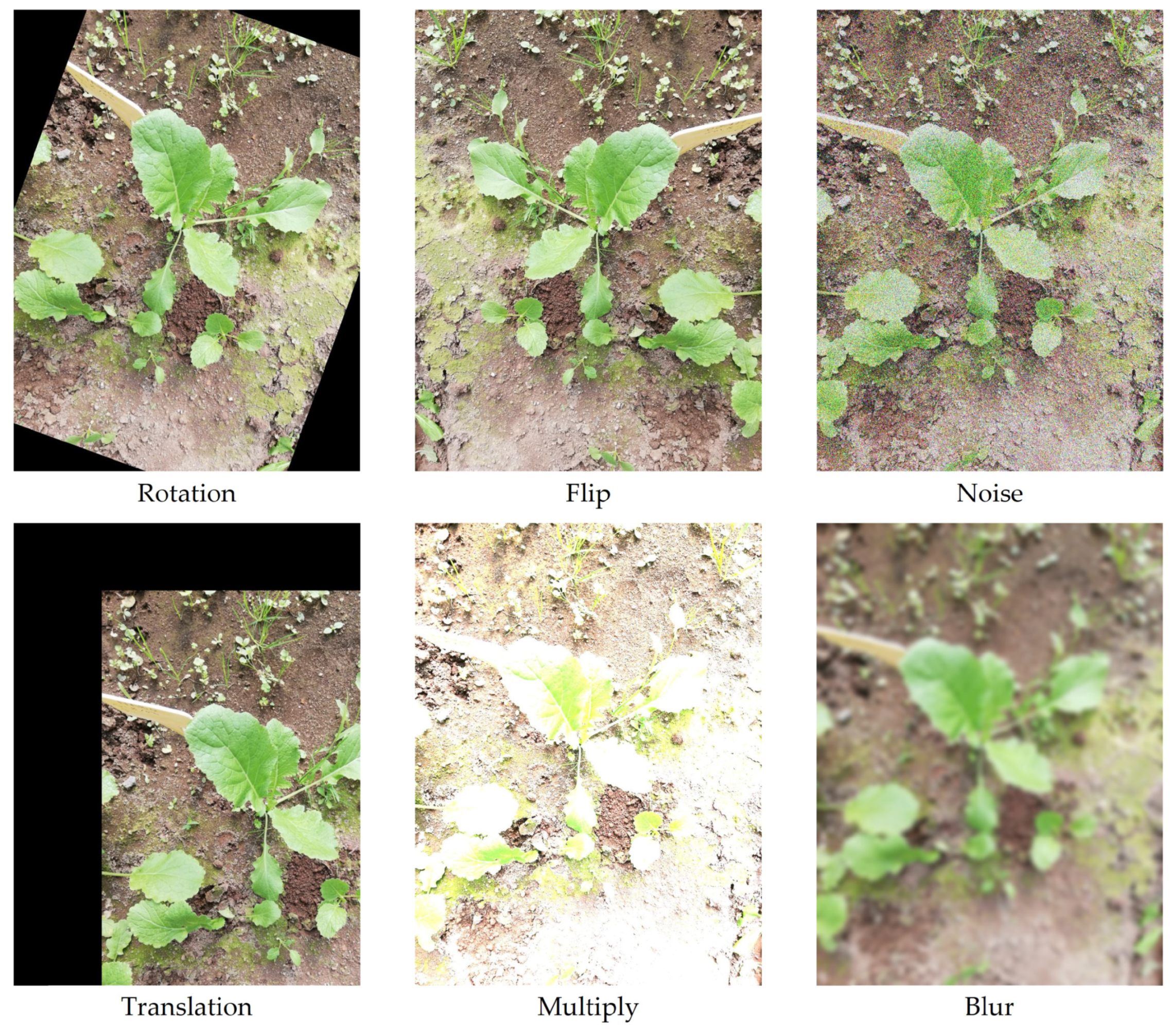 Agronomy 13 00463 g002