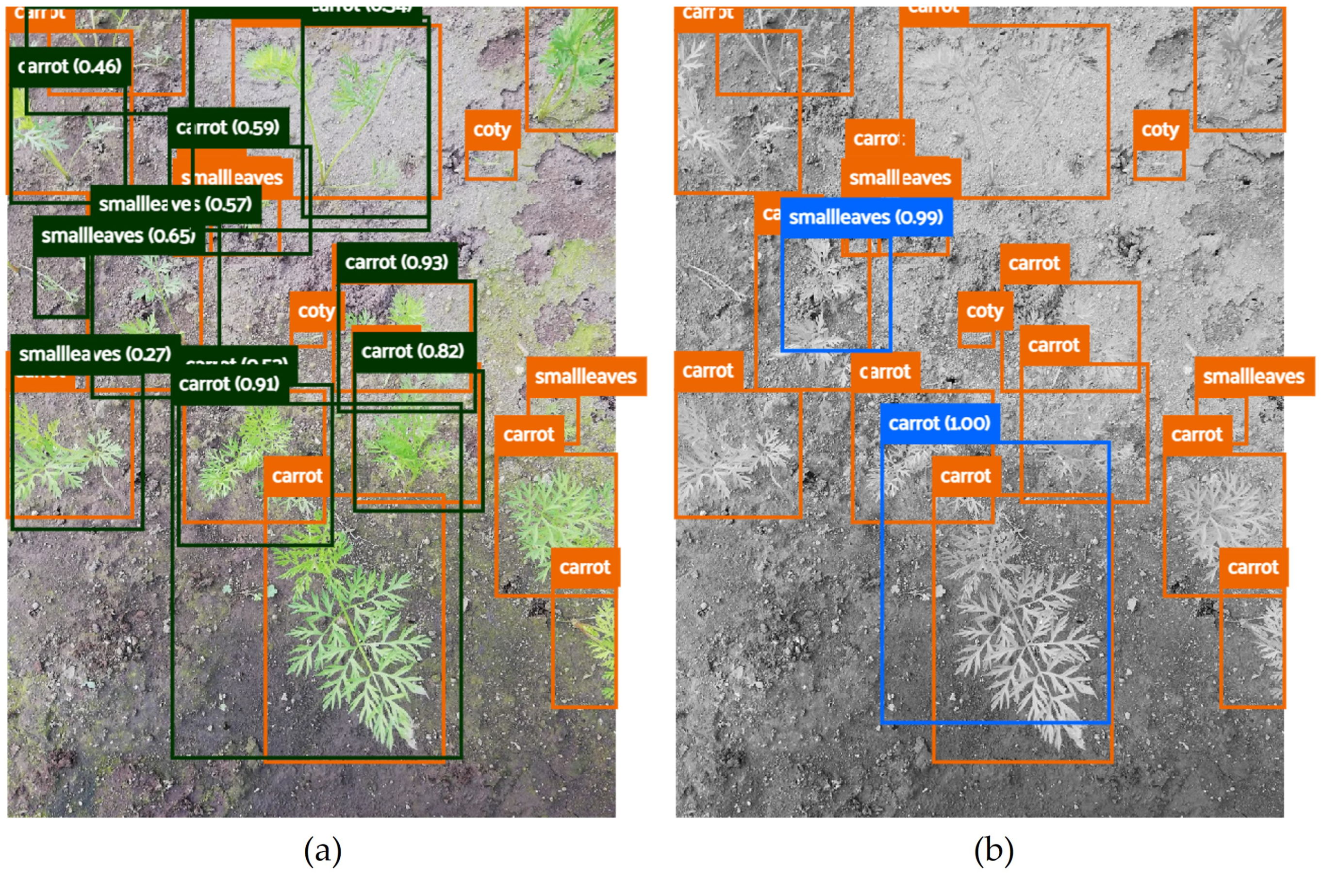 Agronomy 13 00463 g004