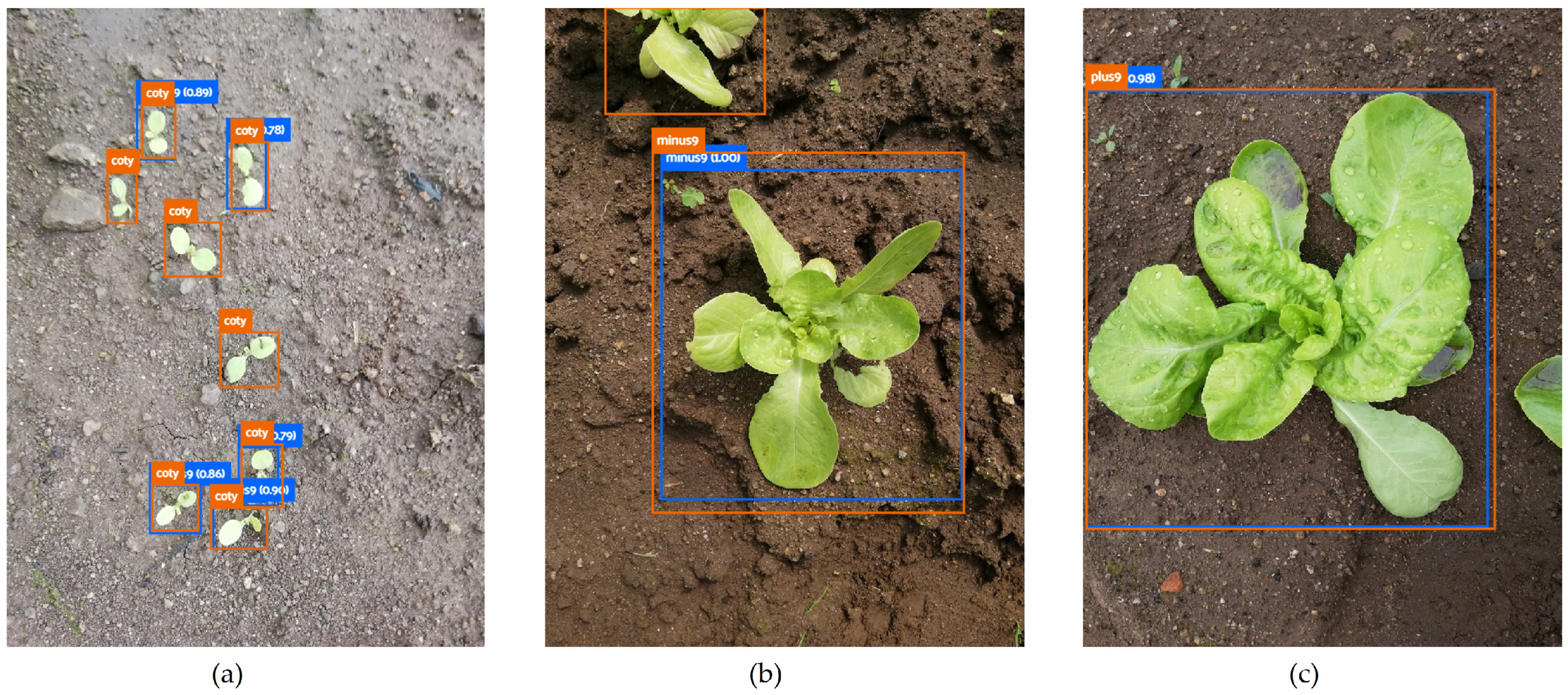 Agronomy 13 00463 g008