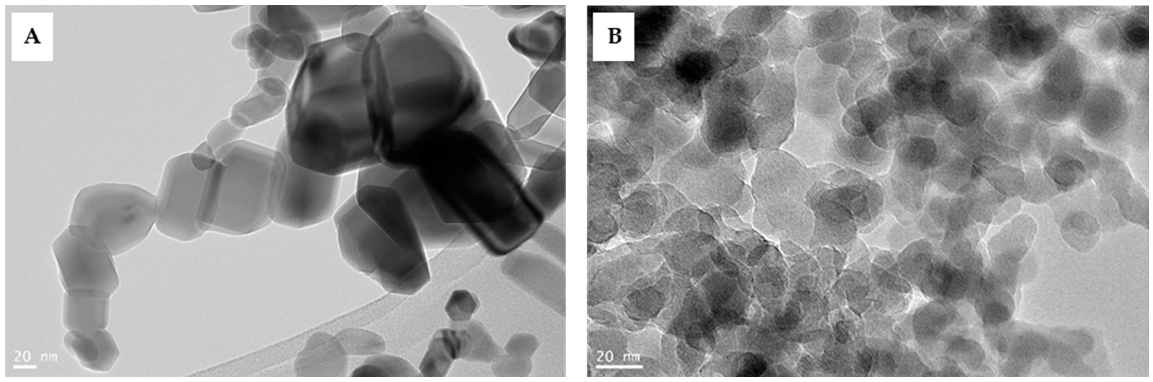 Agronomy 13 00466 g002