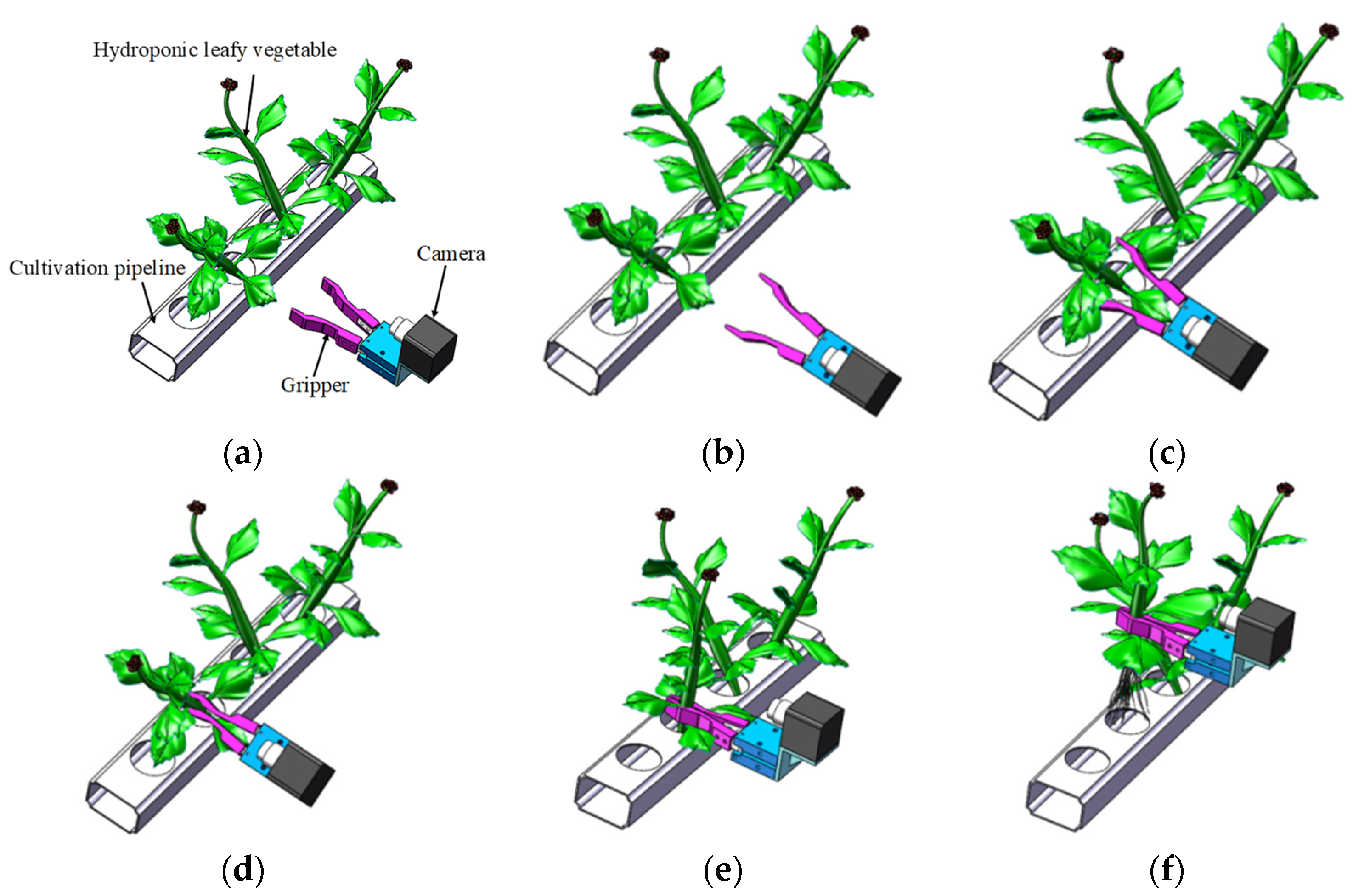 Agronomy 13 00476 g001