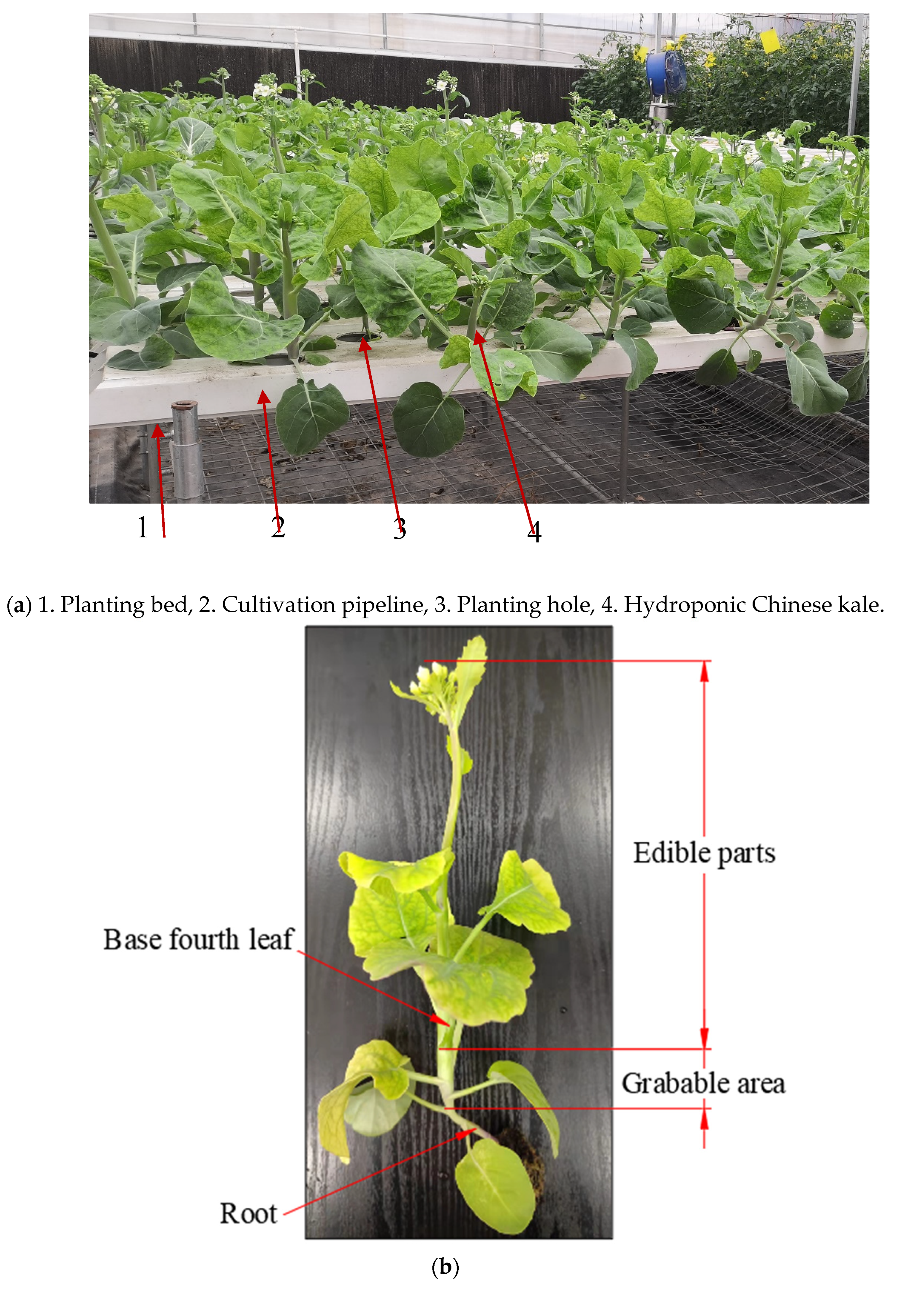 Agronomy 13 00476 g002