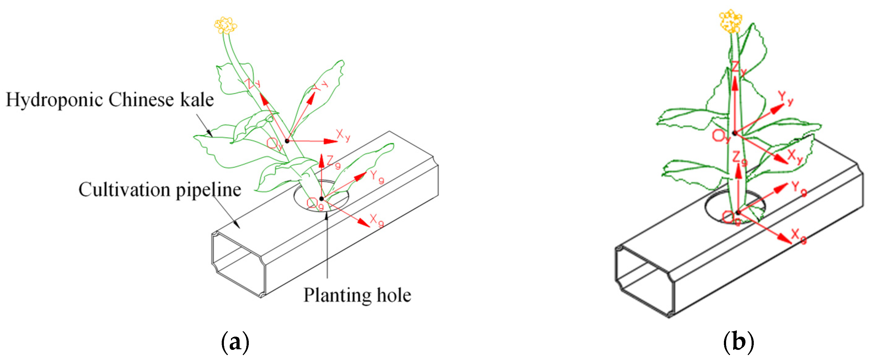 Agronomy 13 00476 g003