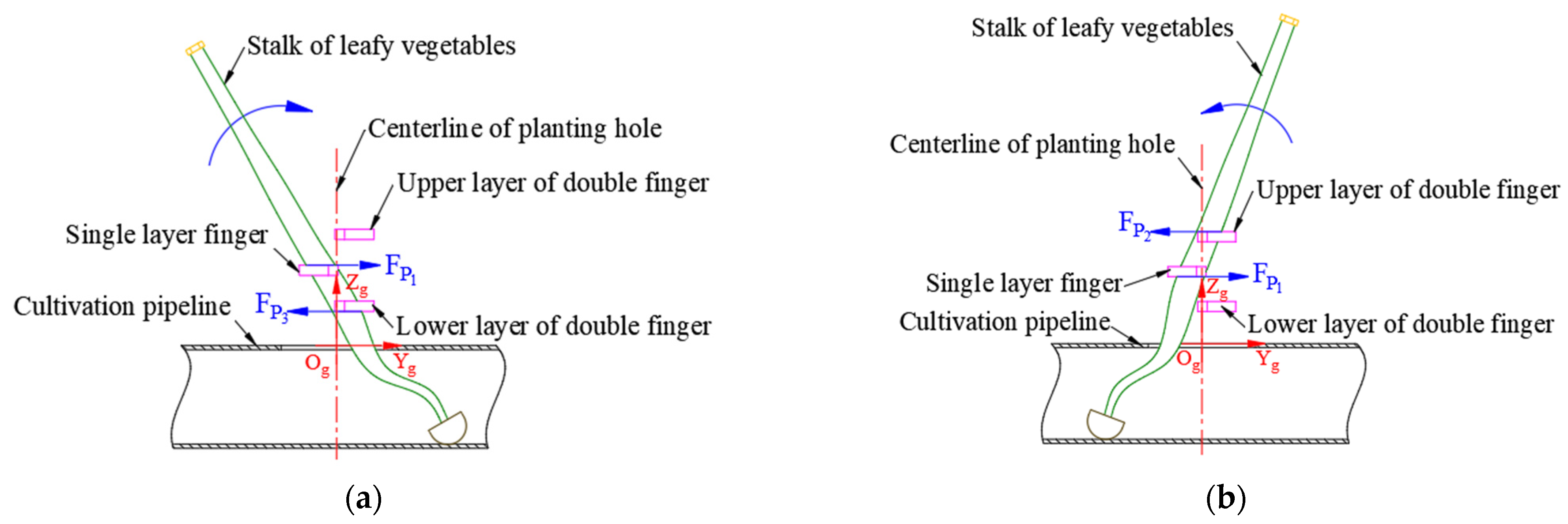 Agronomy 13 00476 g006