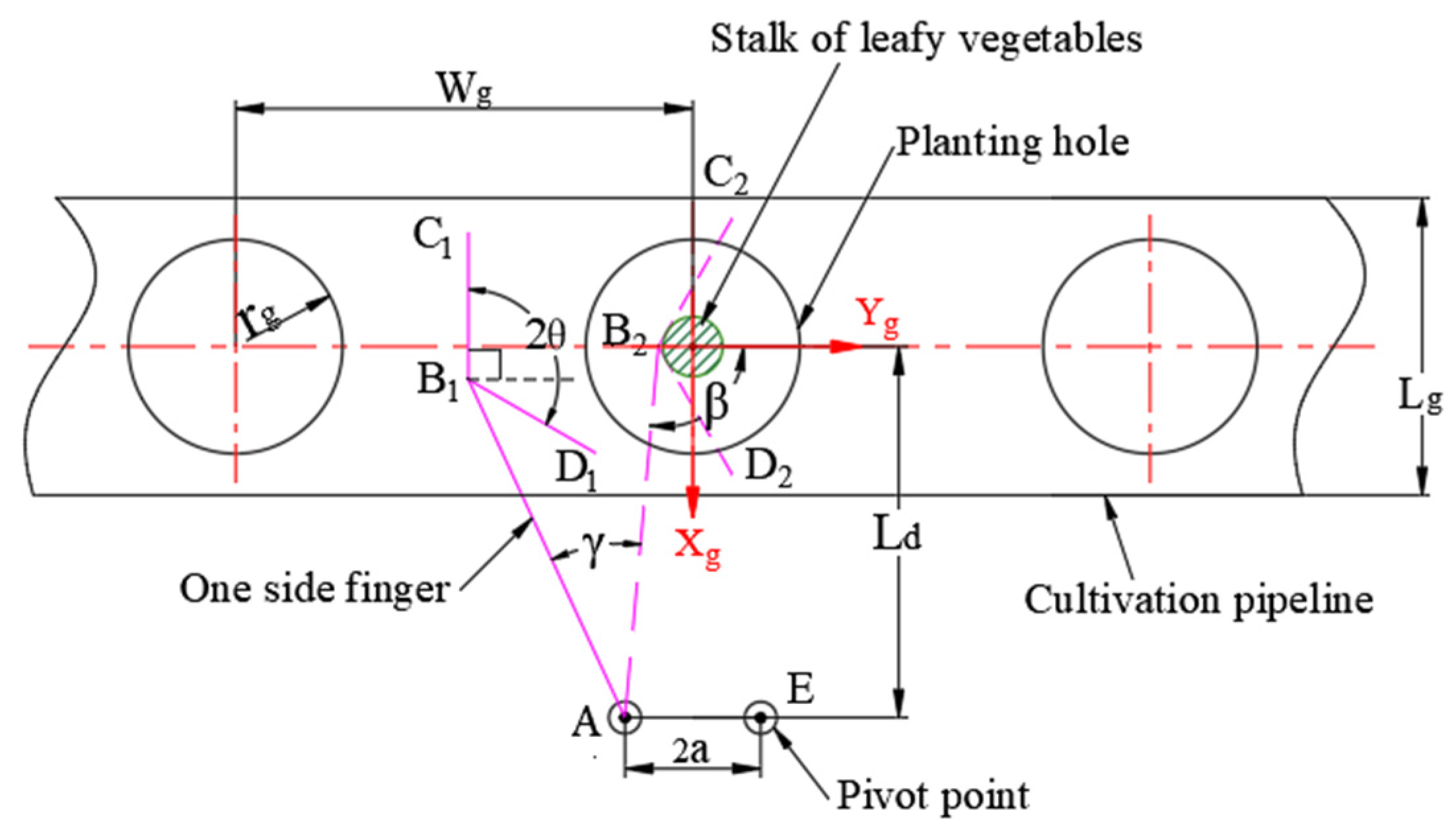 Agronomy 13 00476 g008