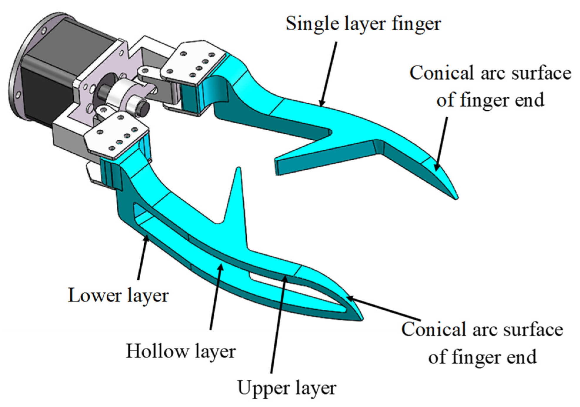 Agronomy 13 00476 g010