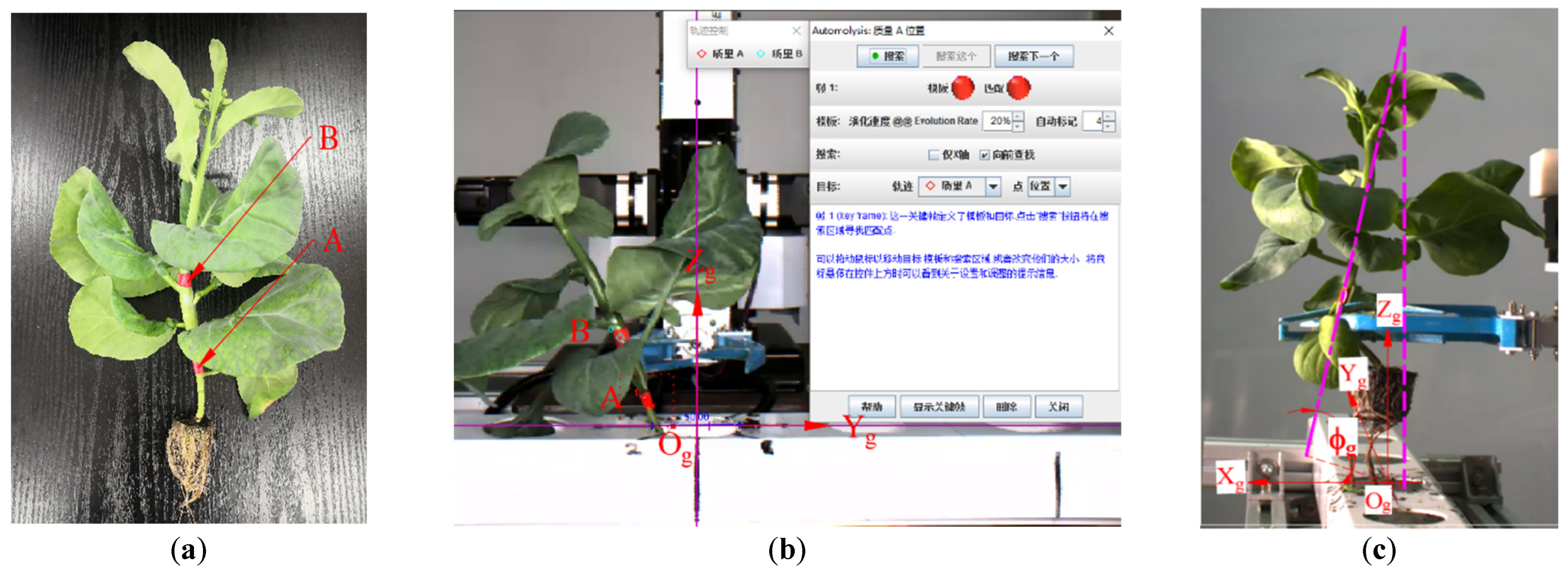 Agronomy 13 00476 g013