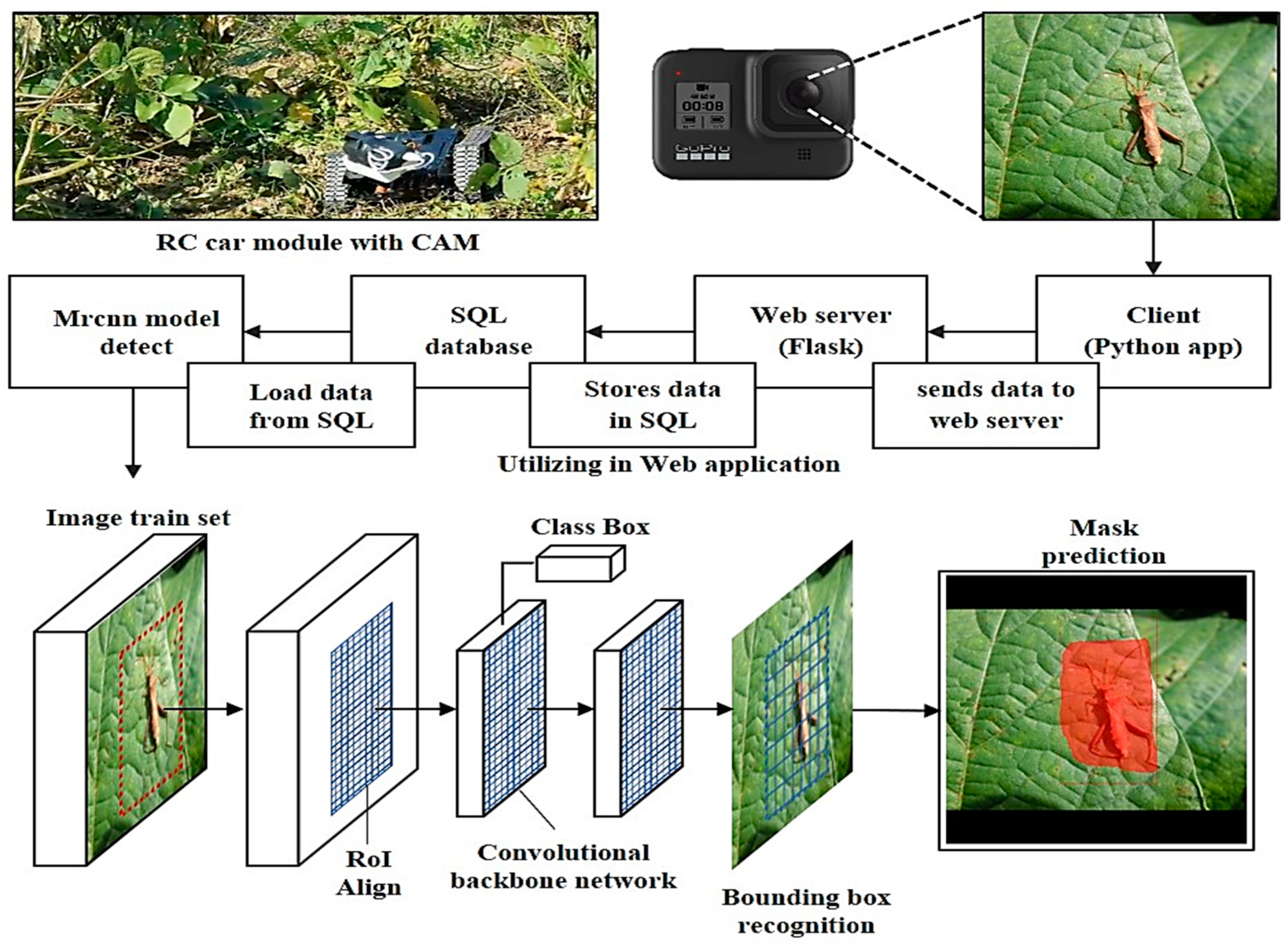 Agronomy 13 00477 g001