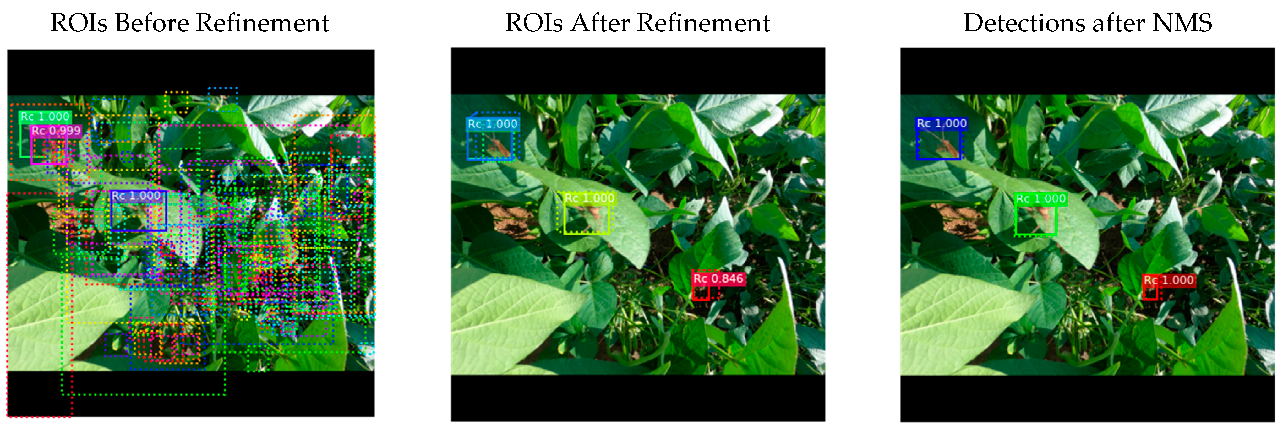 Agronomy 13 00477 g002