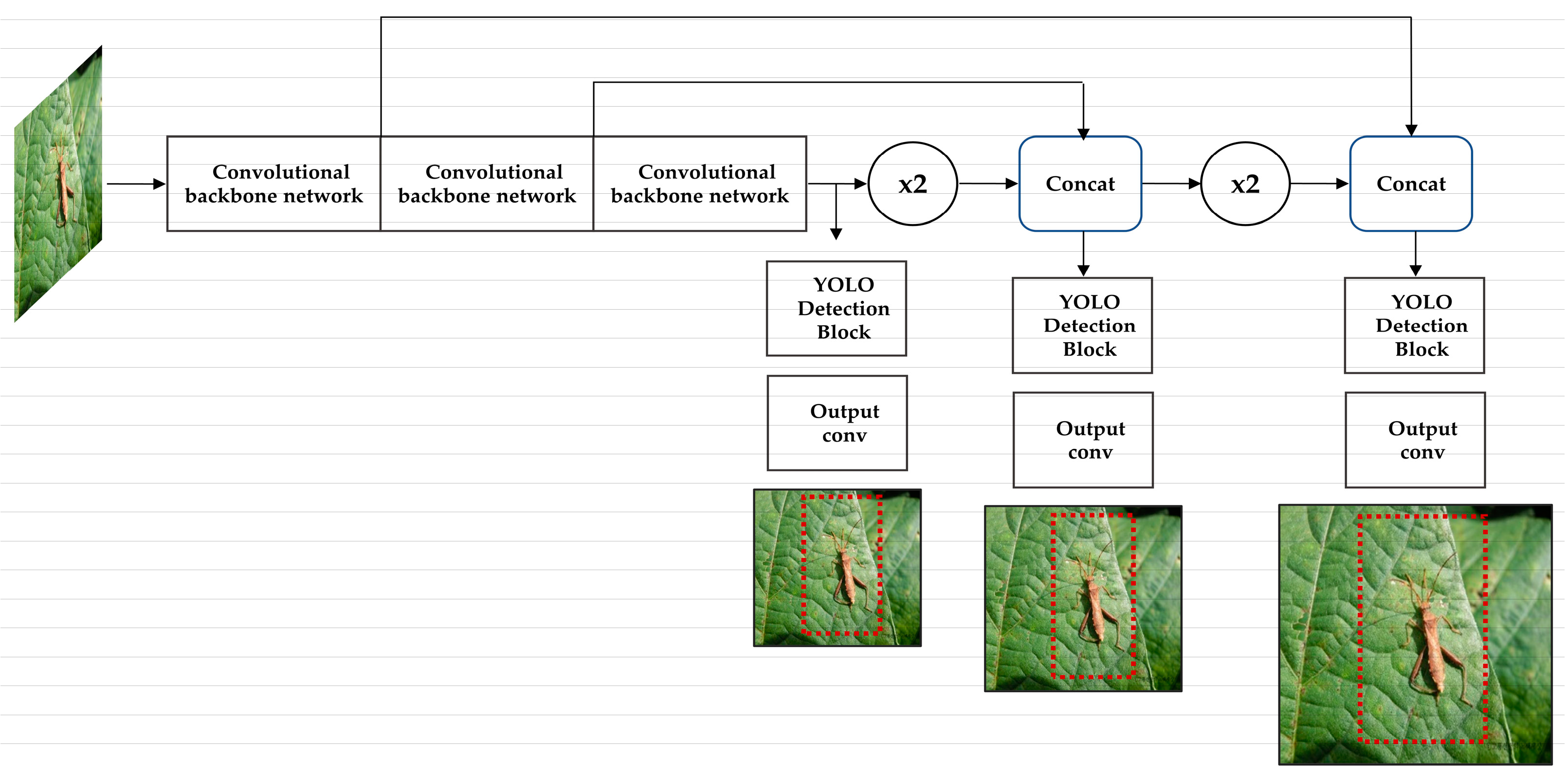 Agronomy 13 00477 g003