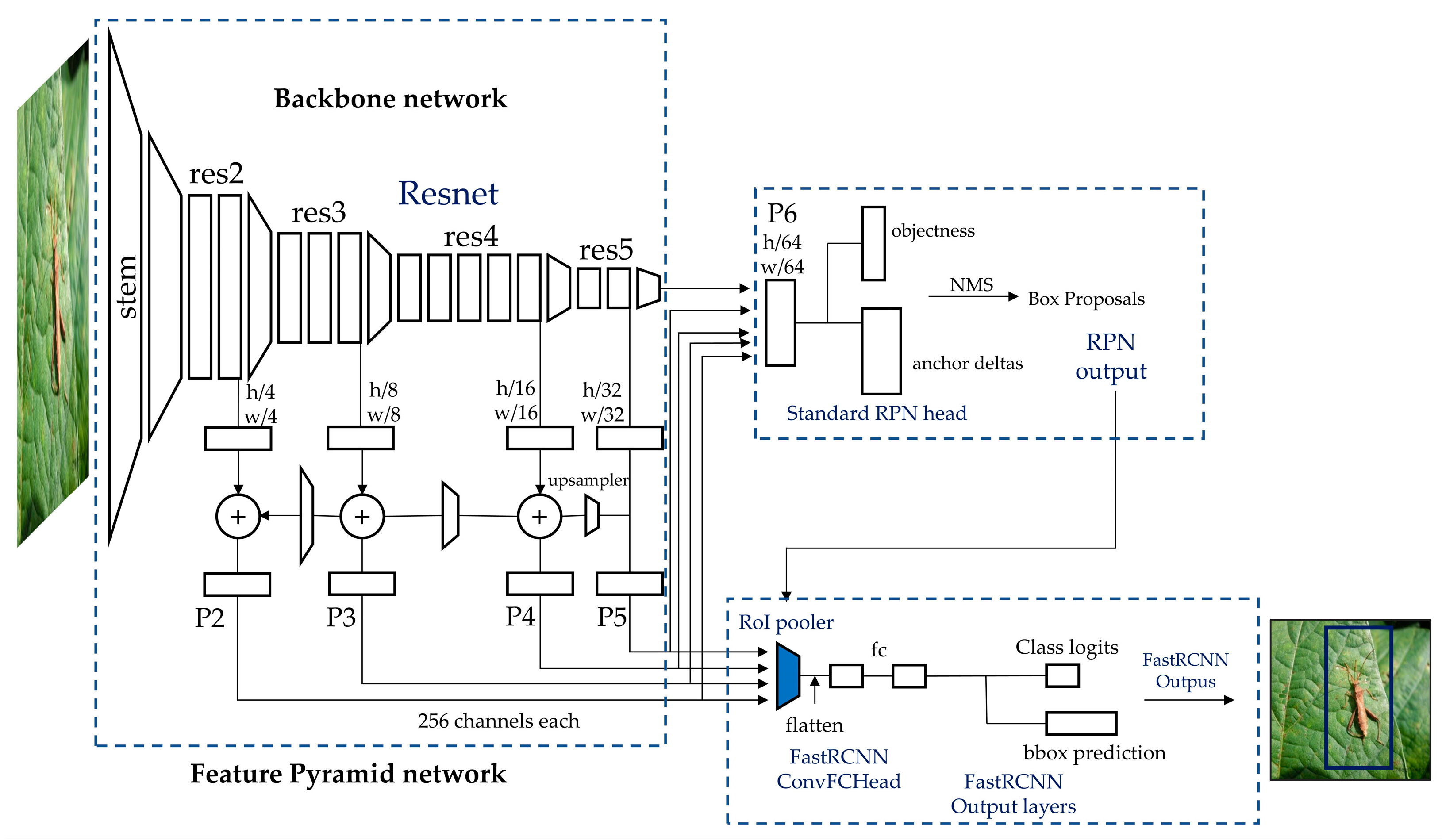 Agronomy 13 00477 g004