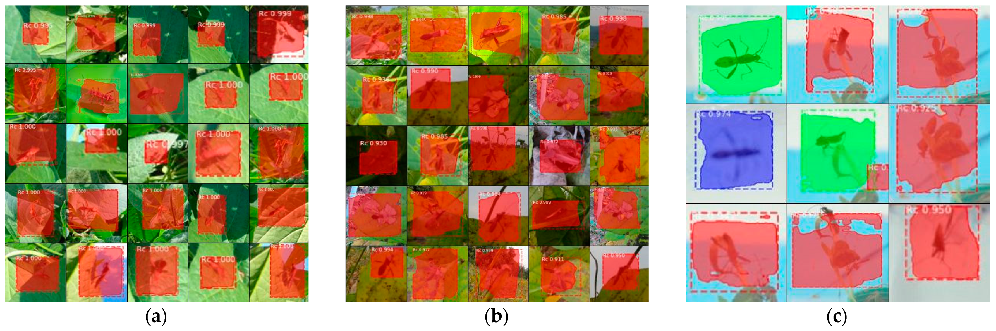 Agronomy 13 00477 g007