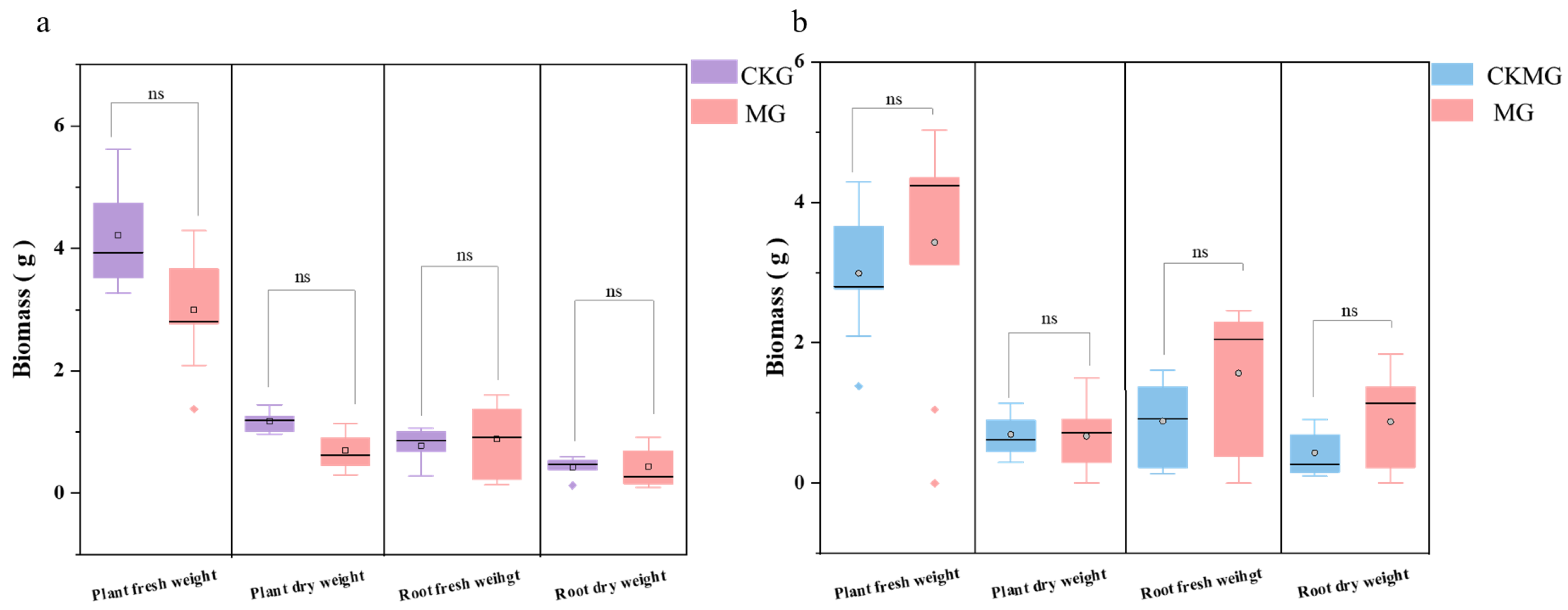 Agronomy 13 00481 g001
