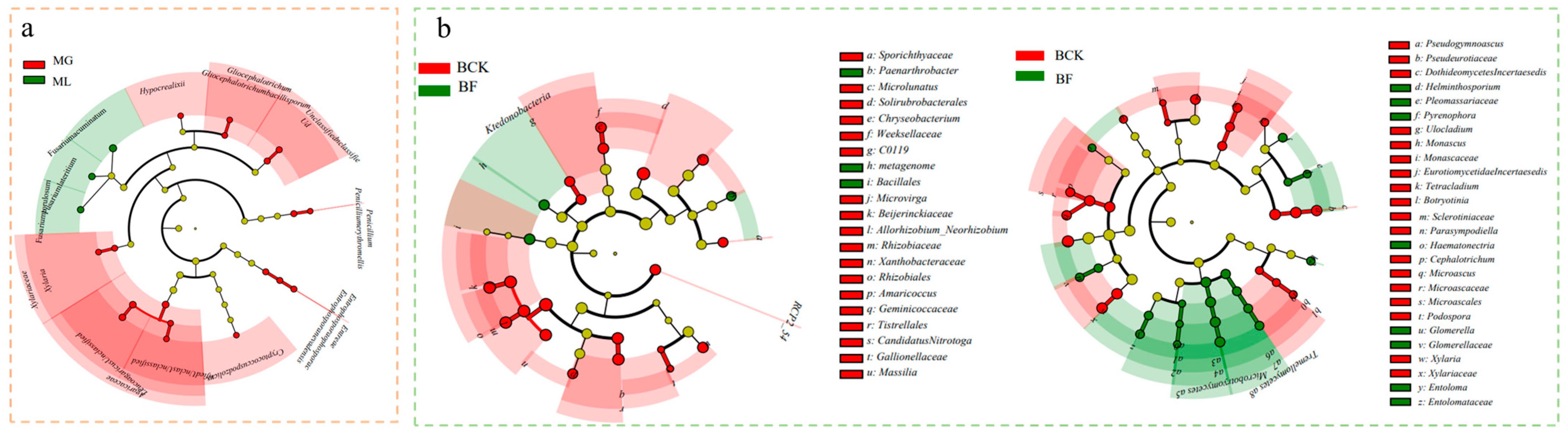 Agronomy 13 00481 g002