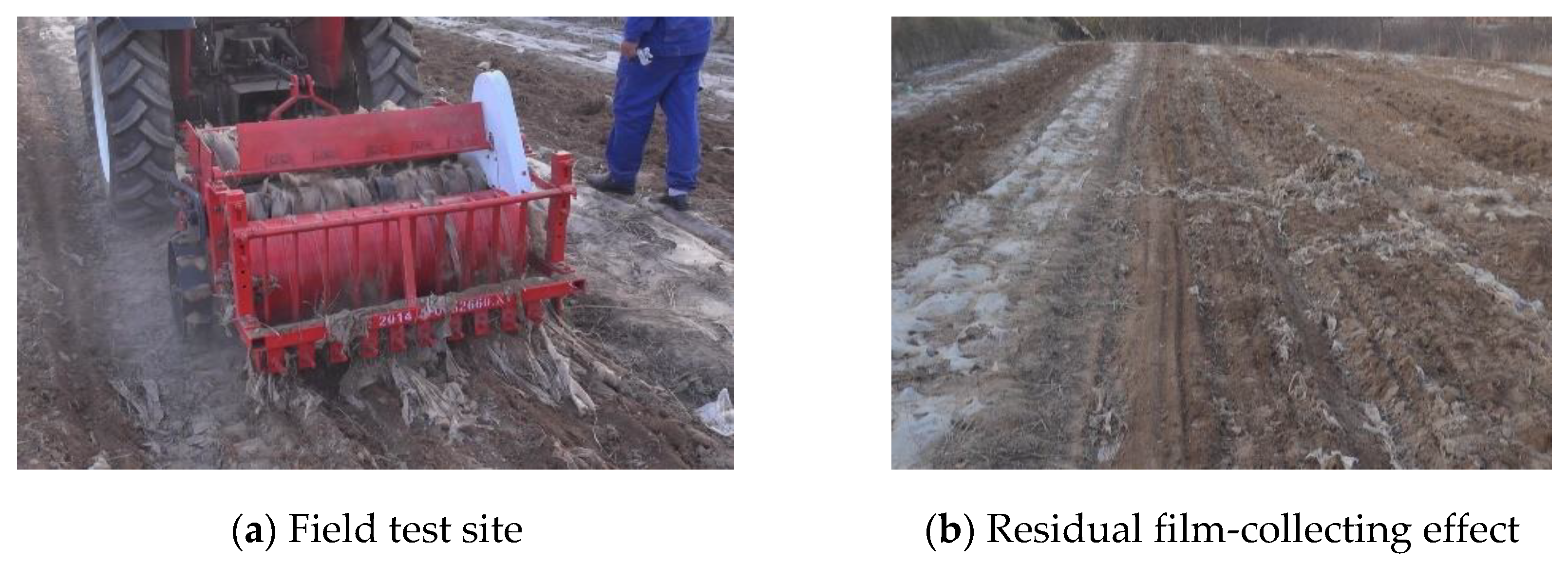 Agronomy 13 00488 g013