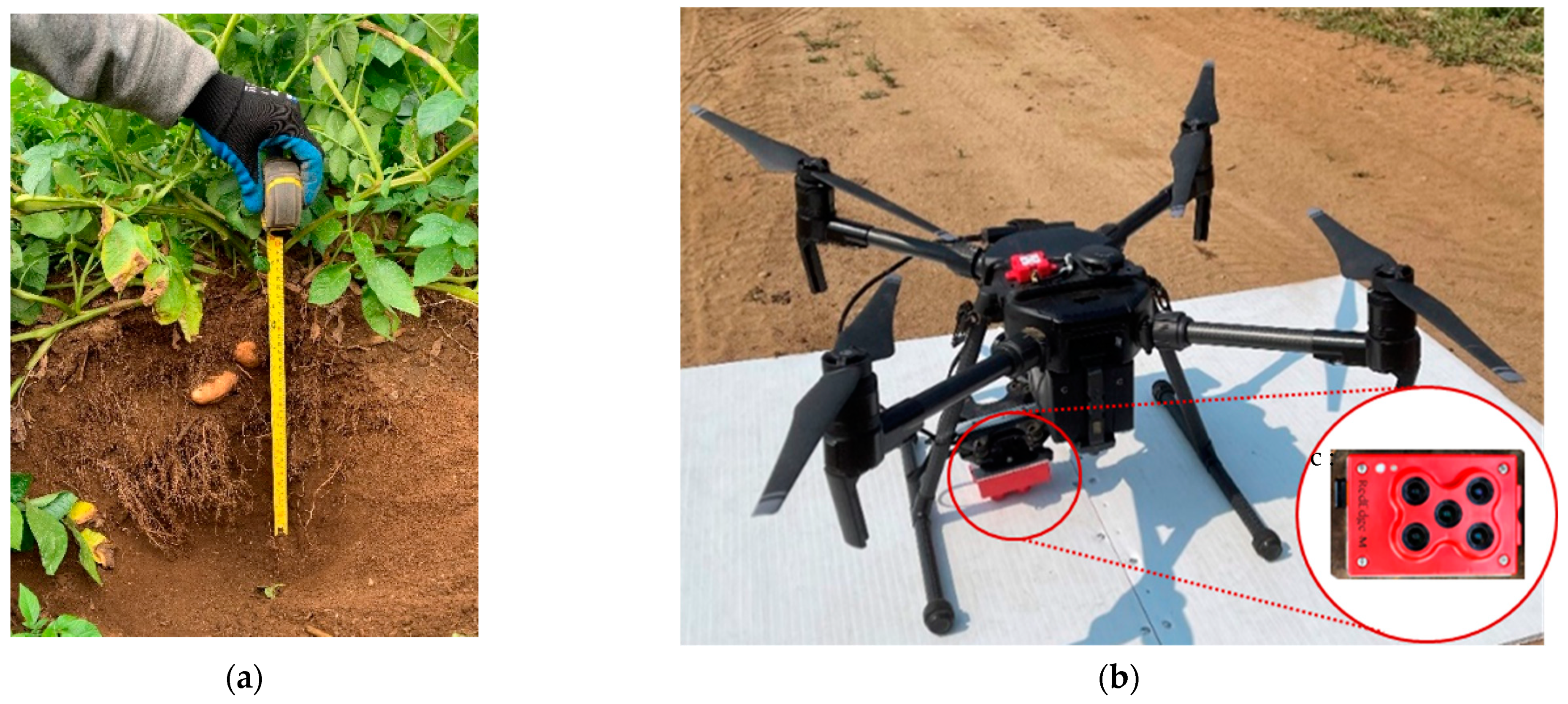 Agronomy 13 00492 g002