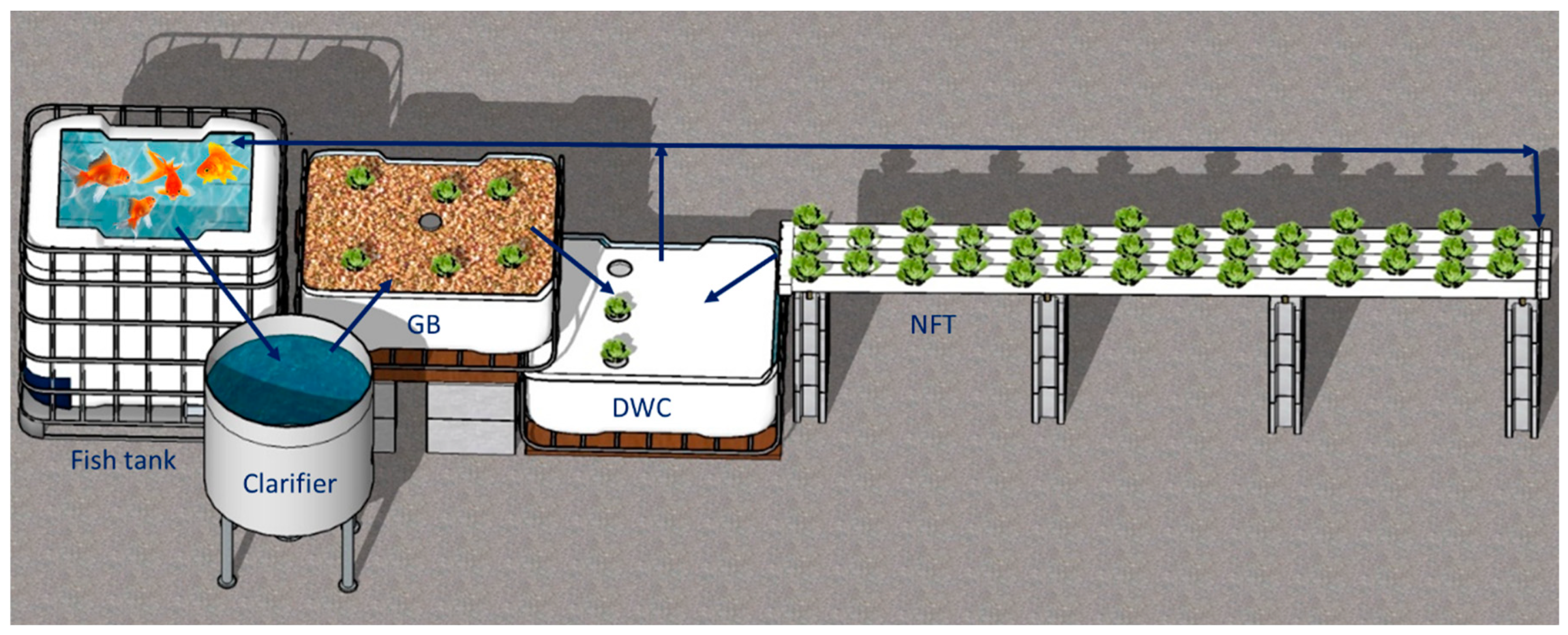 Agronomy 13 00498 g001