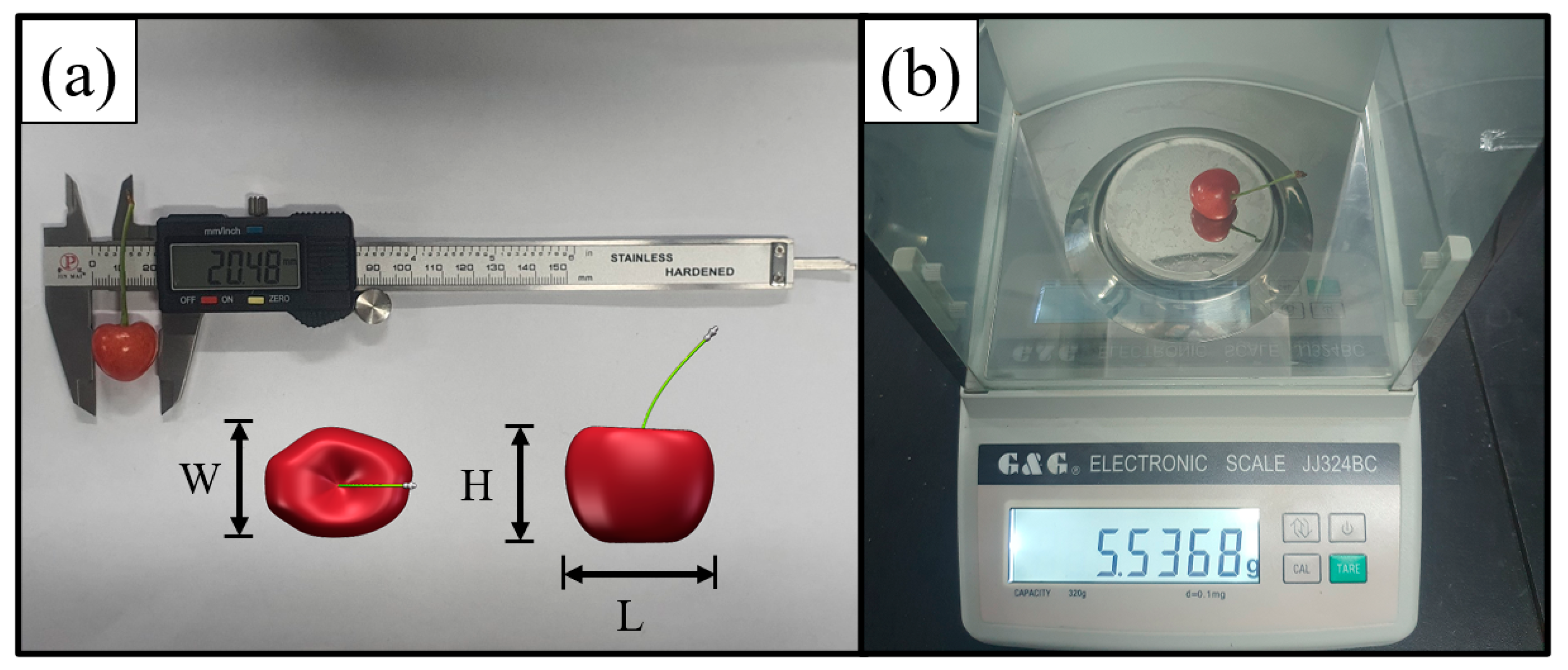 Agronomy 13 00500 g002