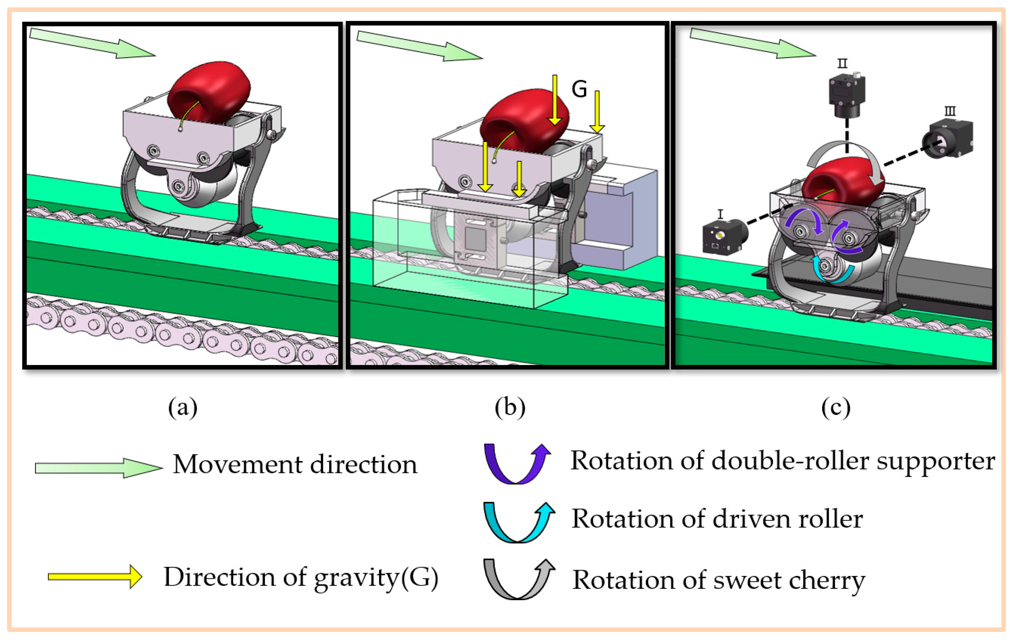 Agronomy 13 00500 g008