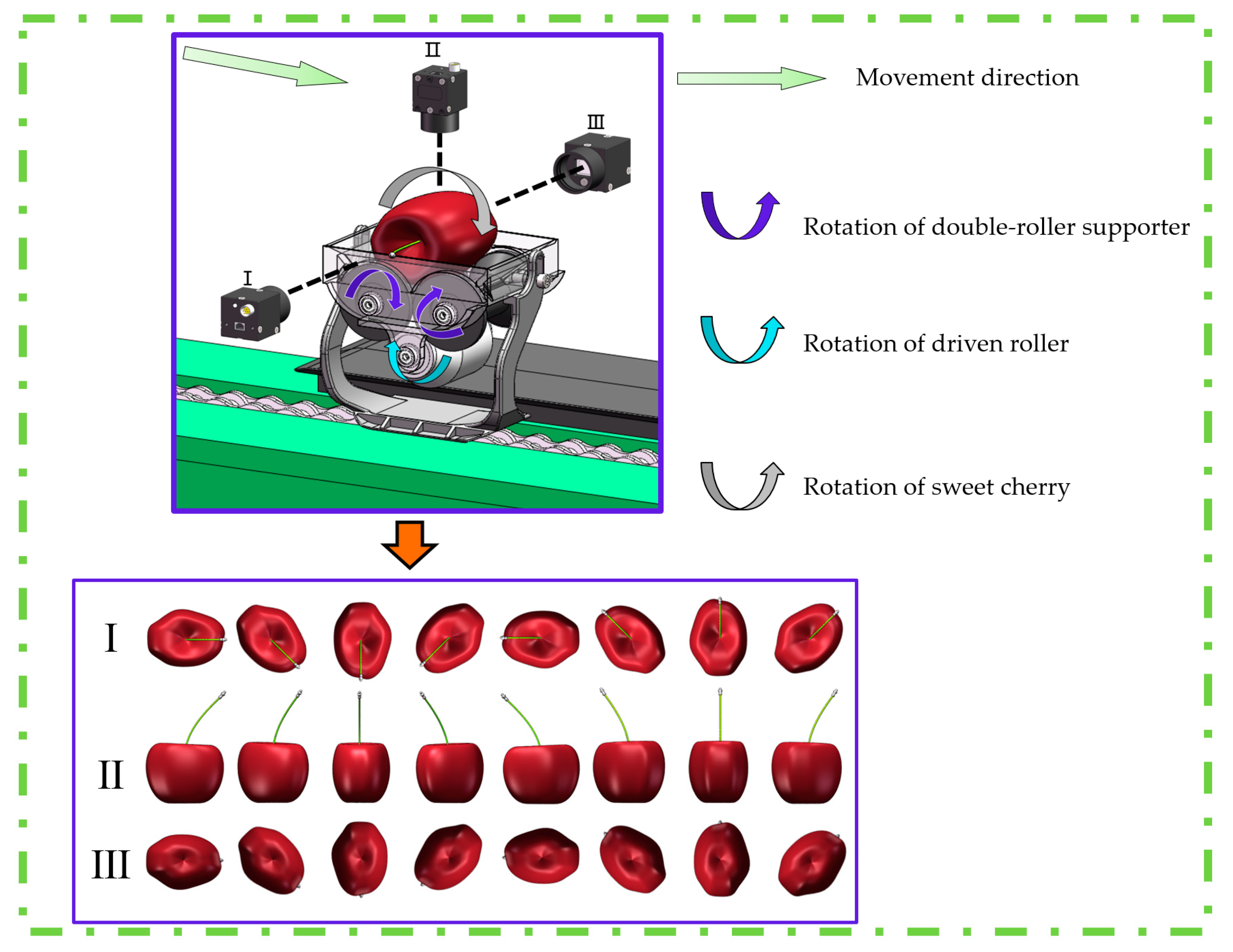 Agronomy 13 00500 g009