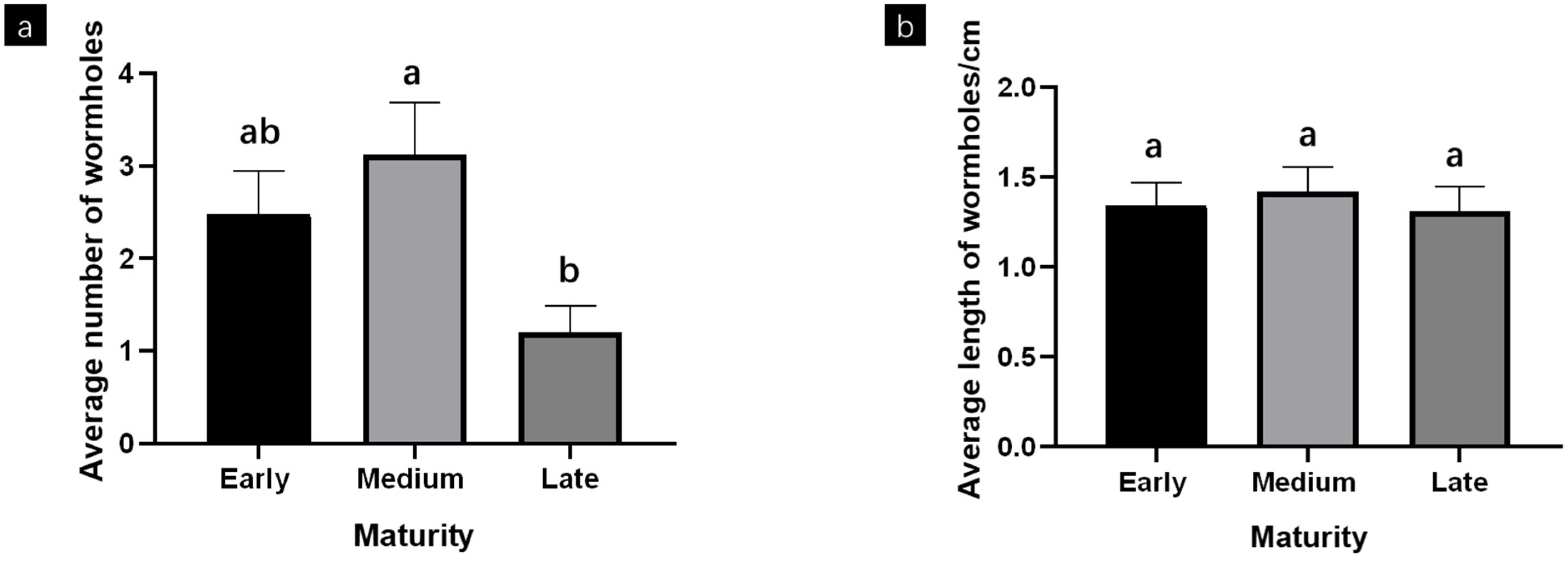 Agronomy 13 00502 g002