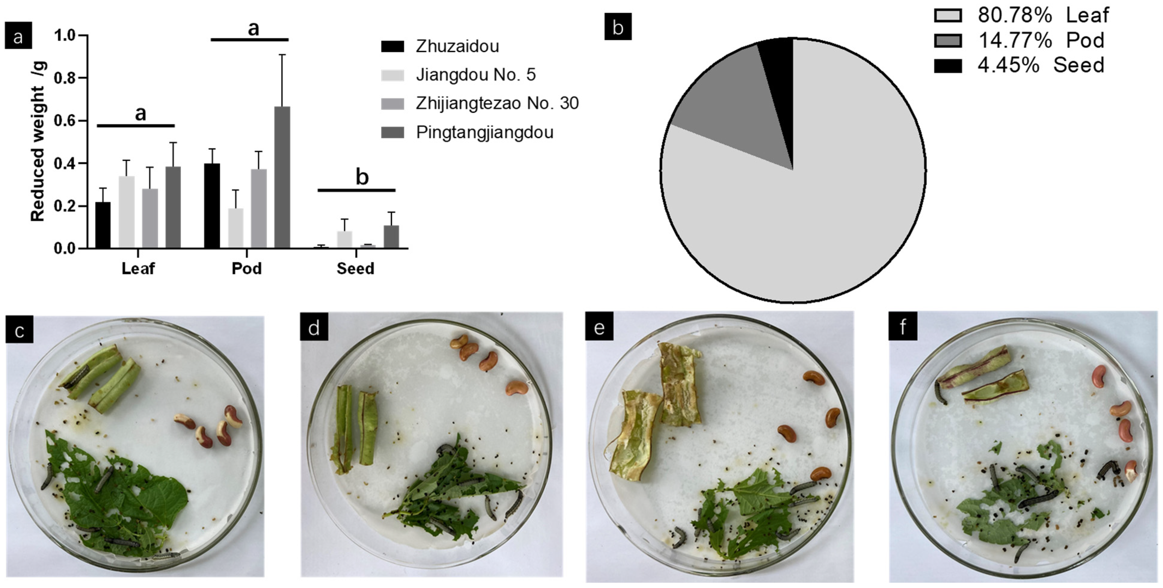 Agronomy 13 00502 g006