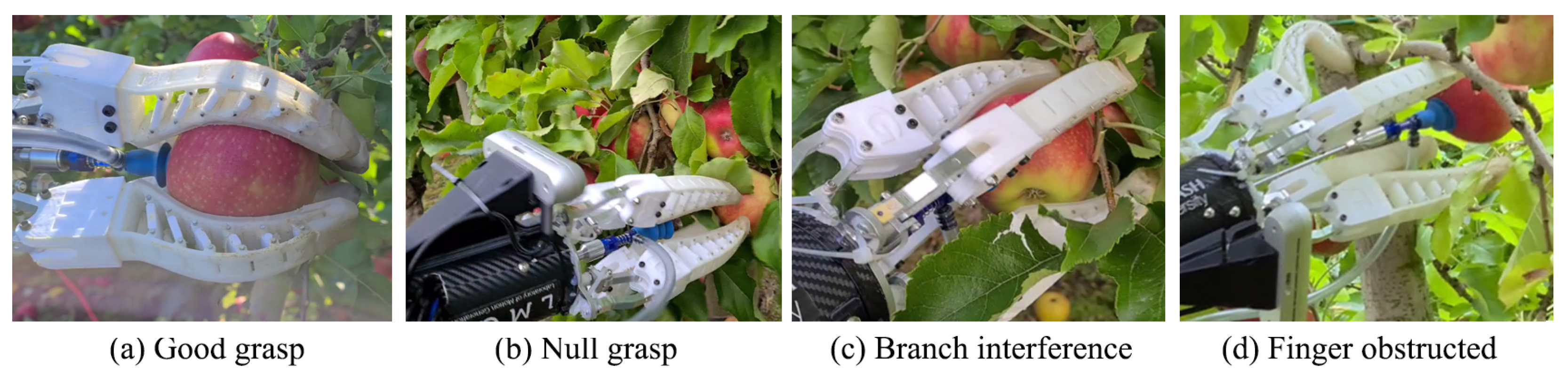 Agronomy 13 00503 g003