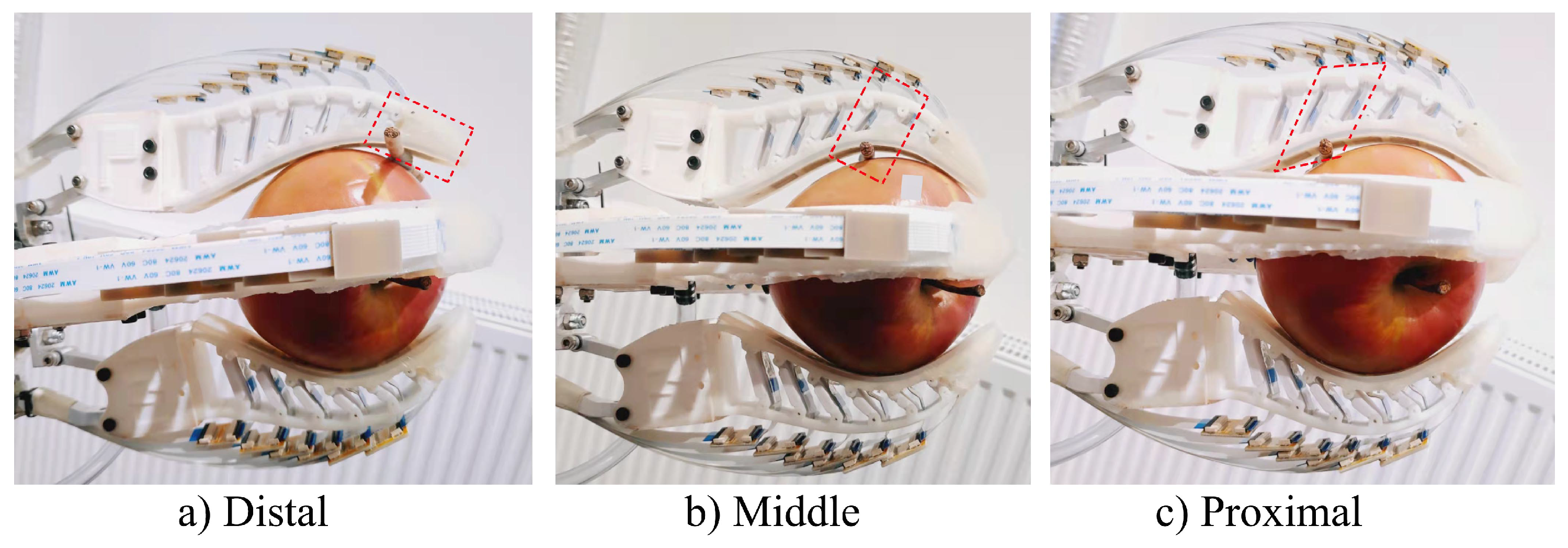 Agronomy 13 00503 g010