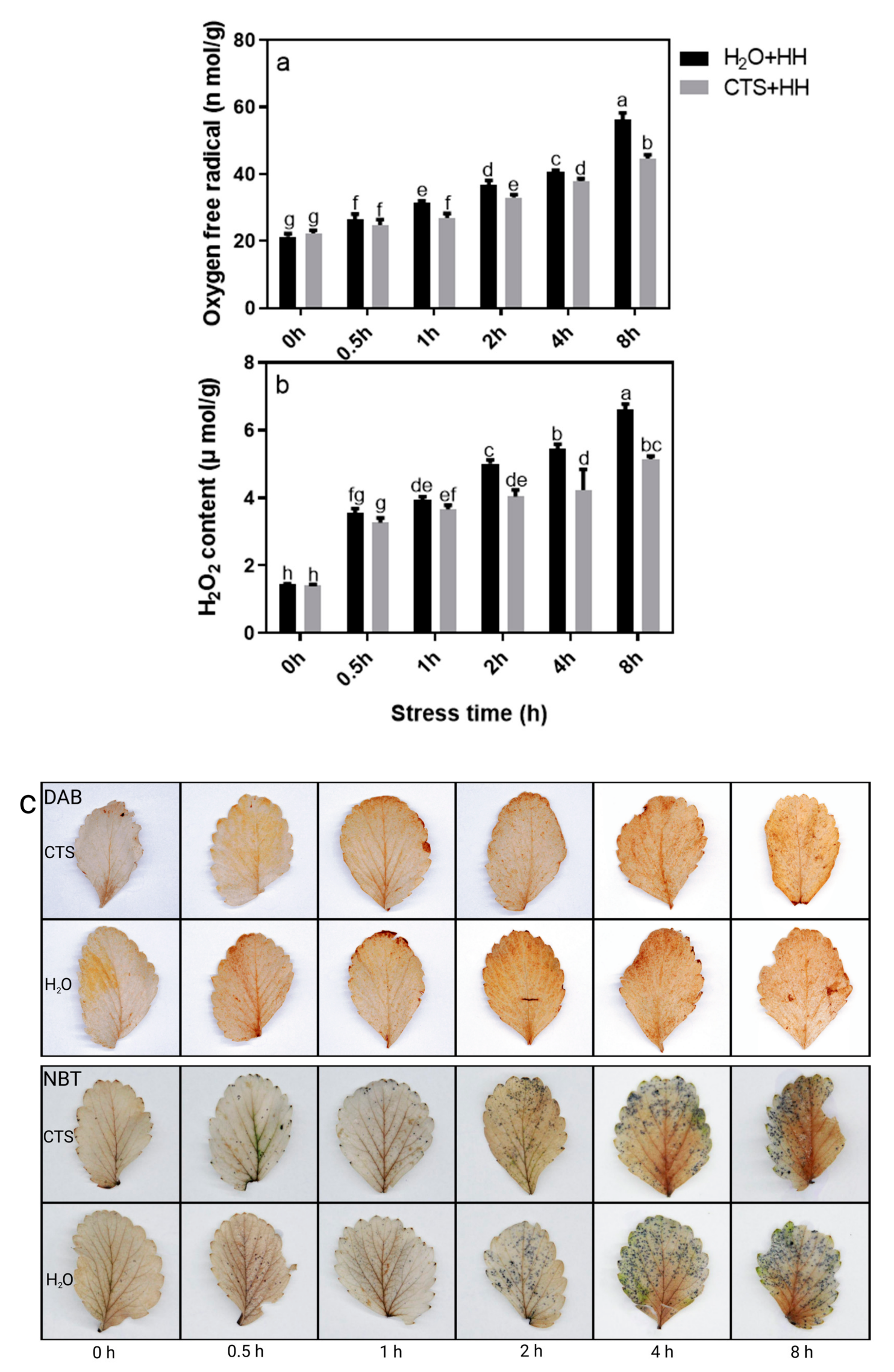 Agronomy 13 00517 g005 Agronomy 13 00517 g005