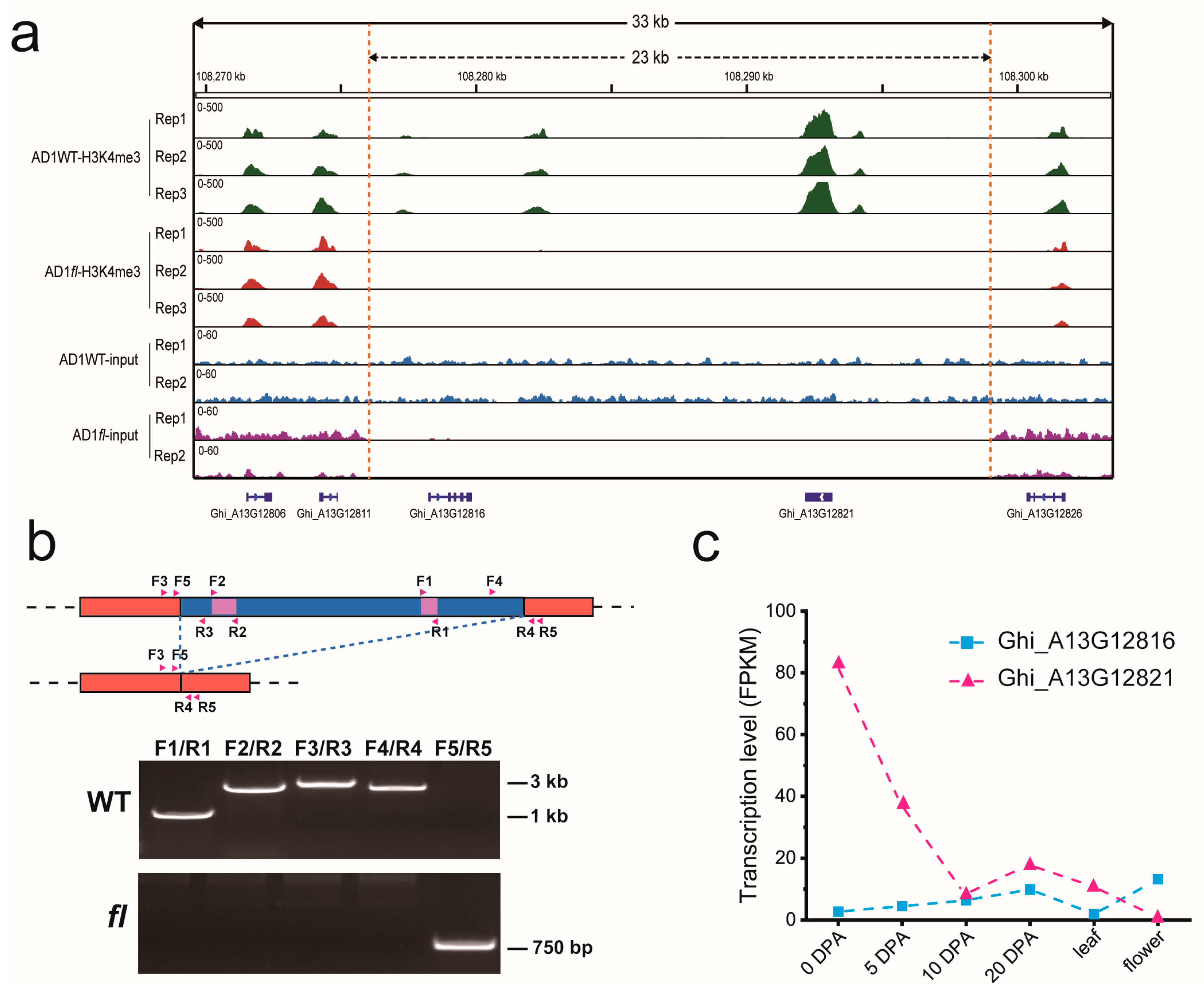 Agronomy 13 00519 g002 Agronomy 13 00519 g002