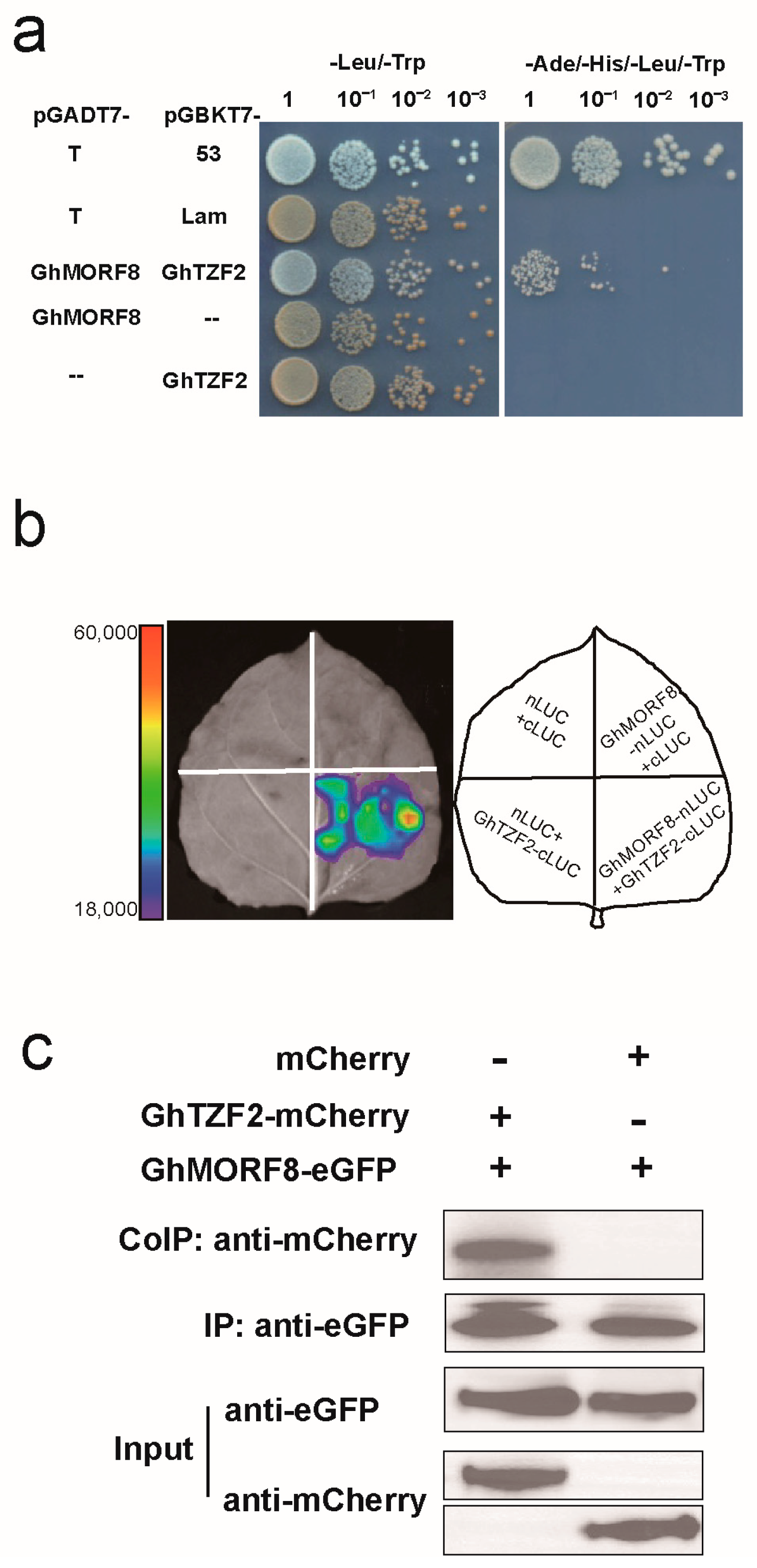 Agronomy 13 00519 g005 Agronomy 13 00519 g005
