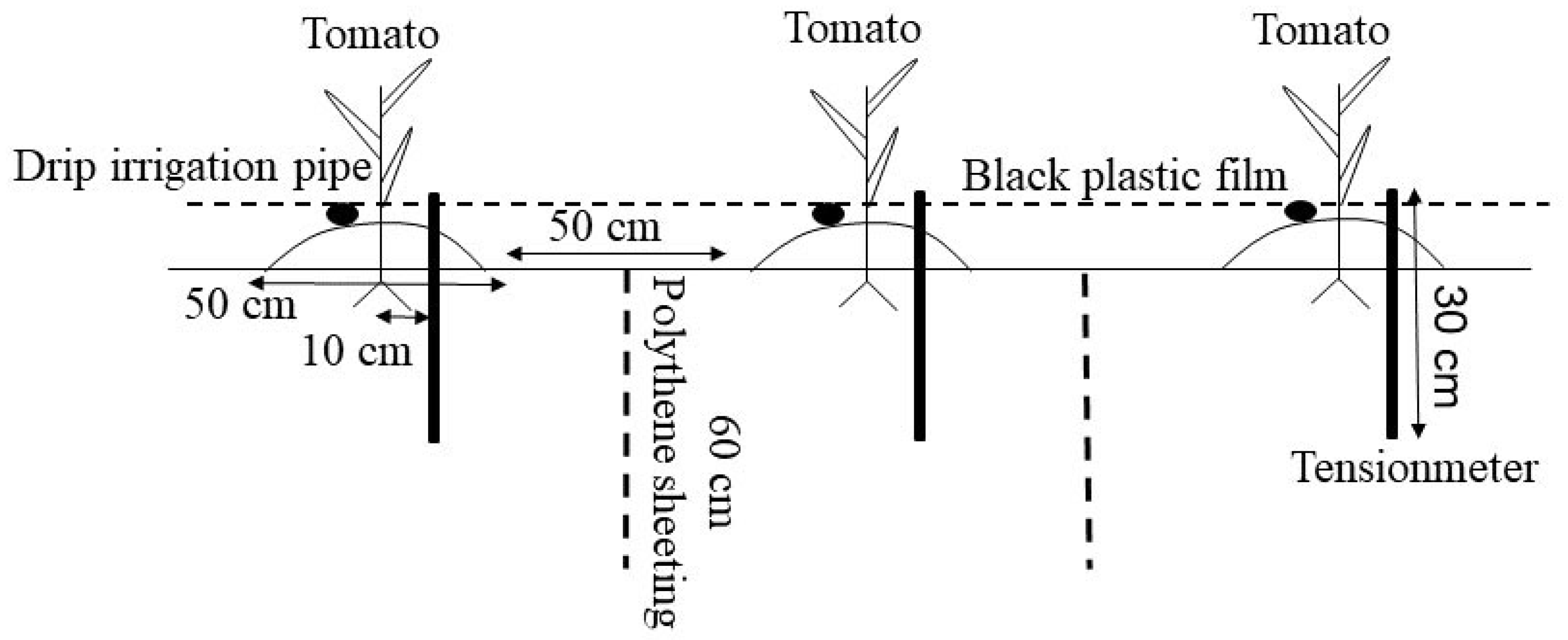 Agronomy 13 00522 g001