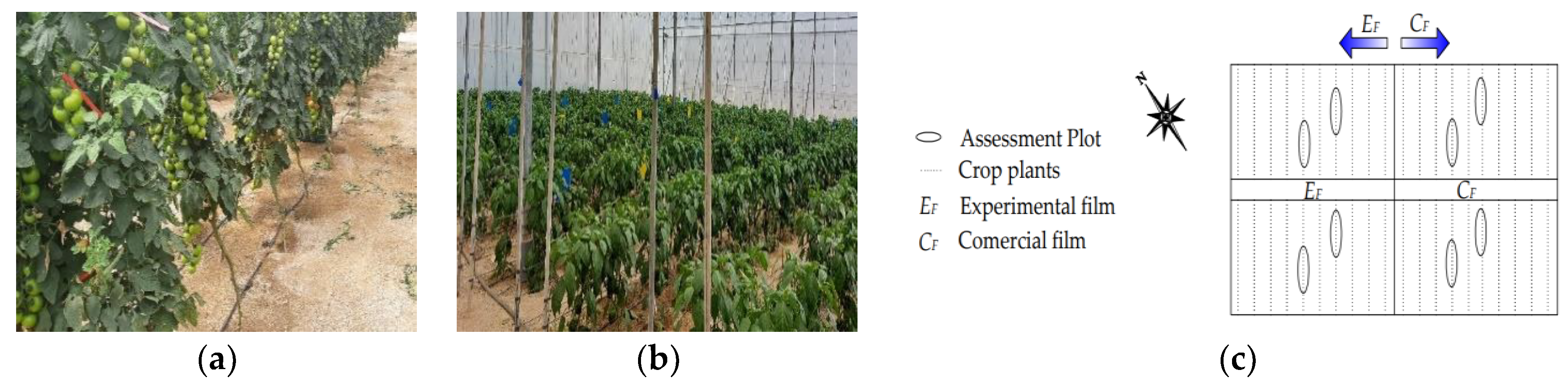 Agronomy 13 00526 g001