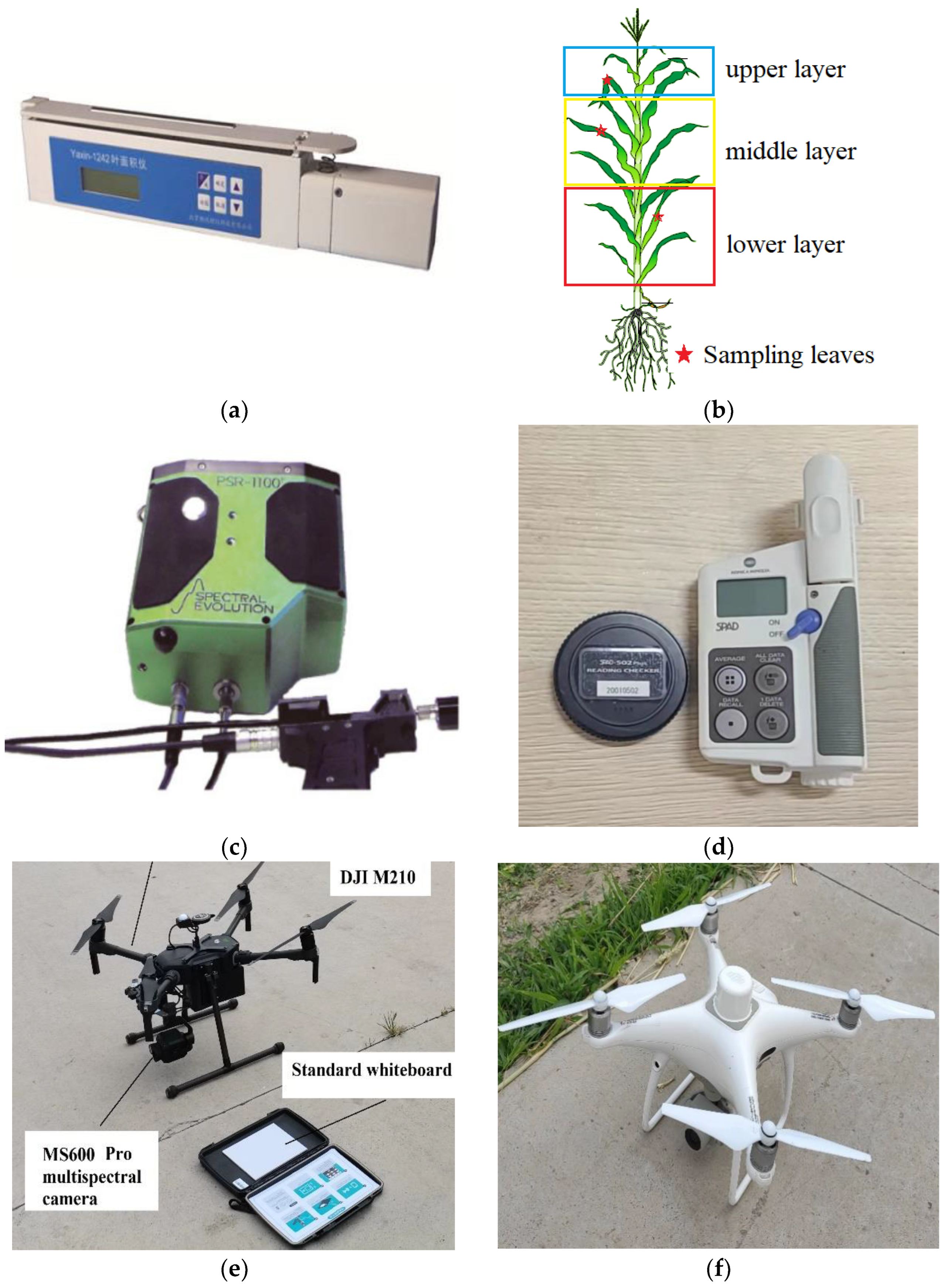 Agronomy 13 00532 g002a