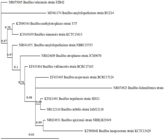 Agronomy 13 00533 g0a1
