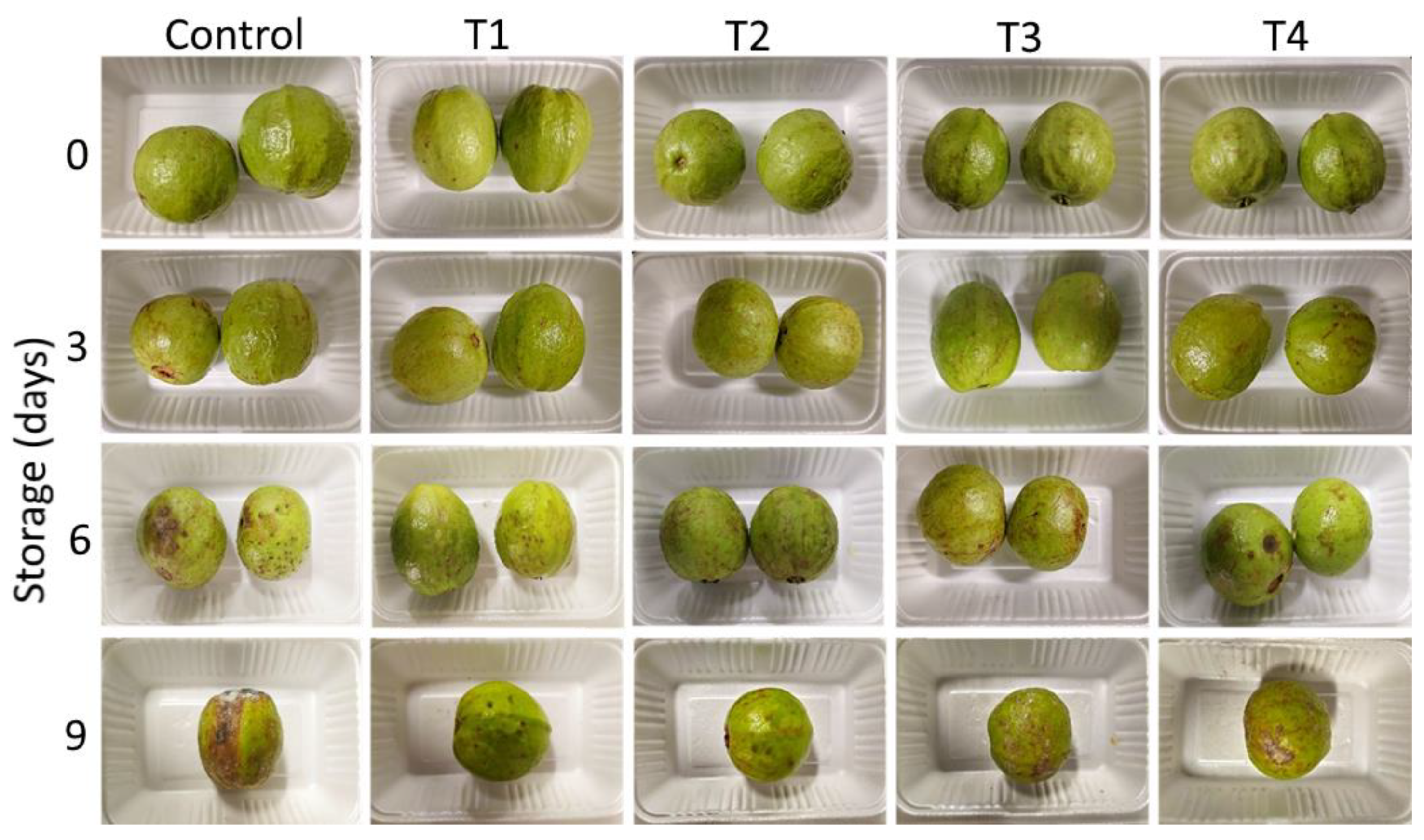 Agronomy 13 00538 g007 Agronomy 13 00538 g007