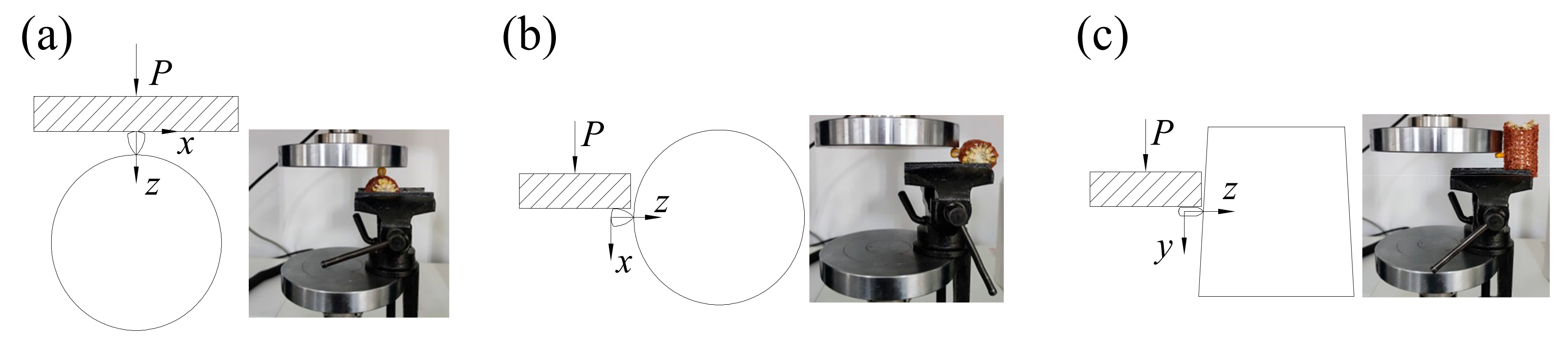 Agronomy 13 00545 g003