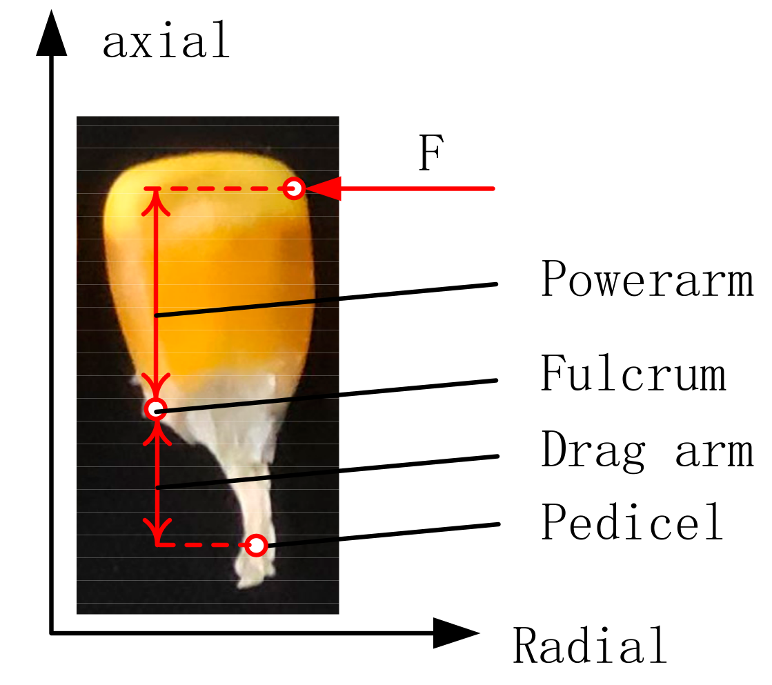 Agronomy 13 00545 g005