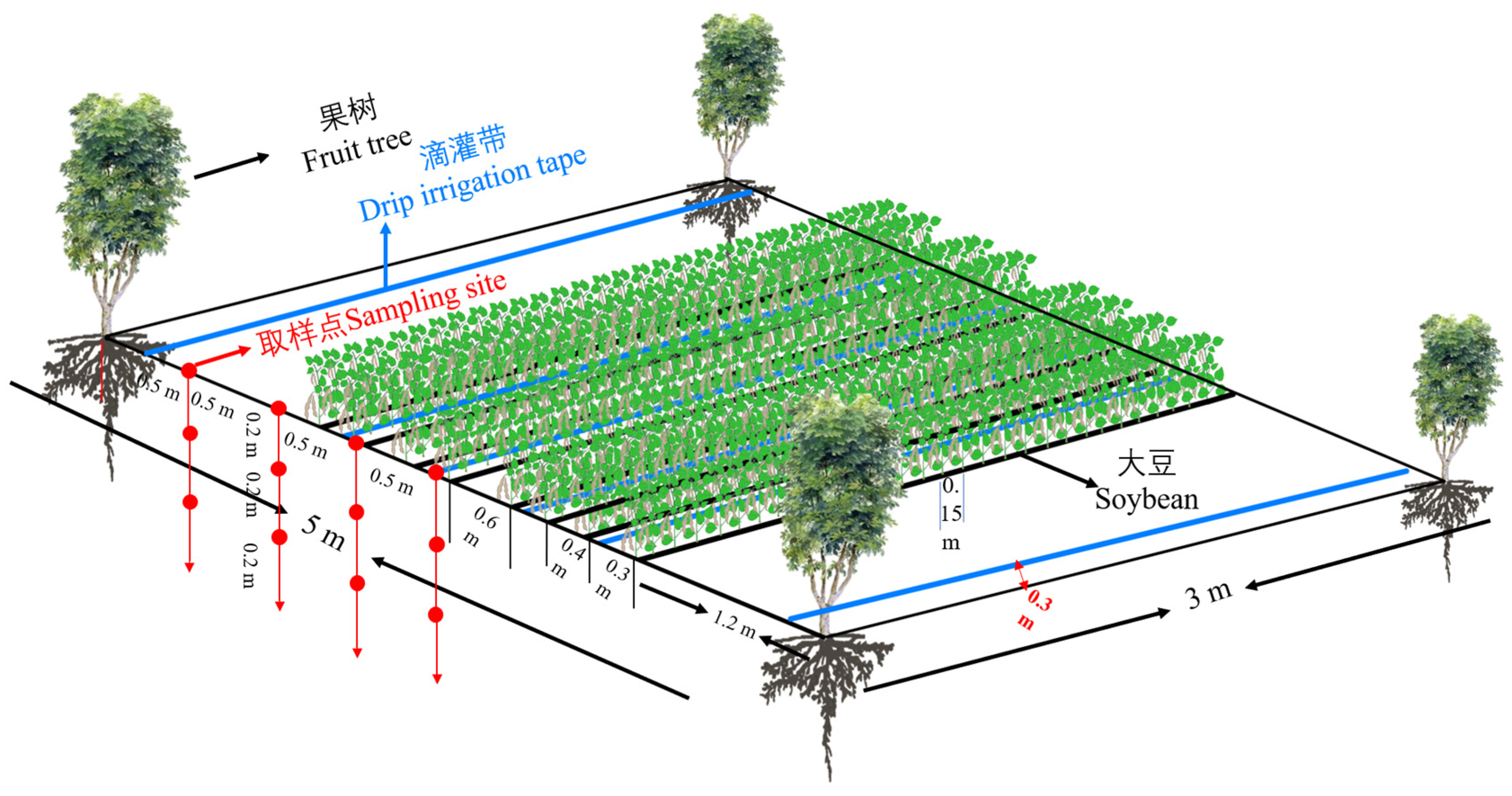 Agronomy 13 00548 g002