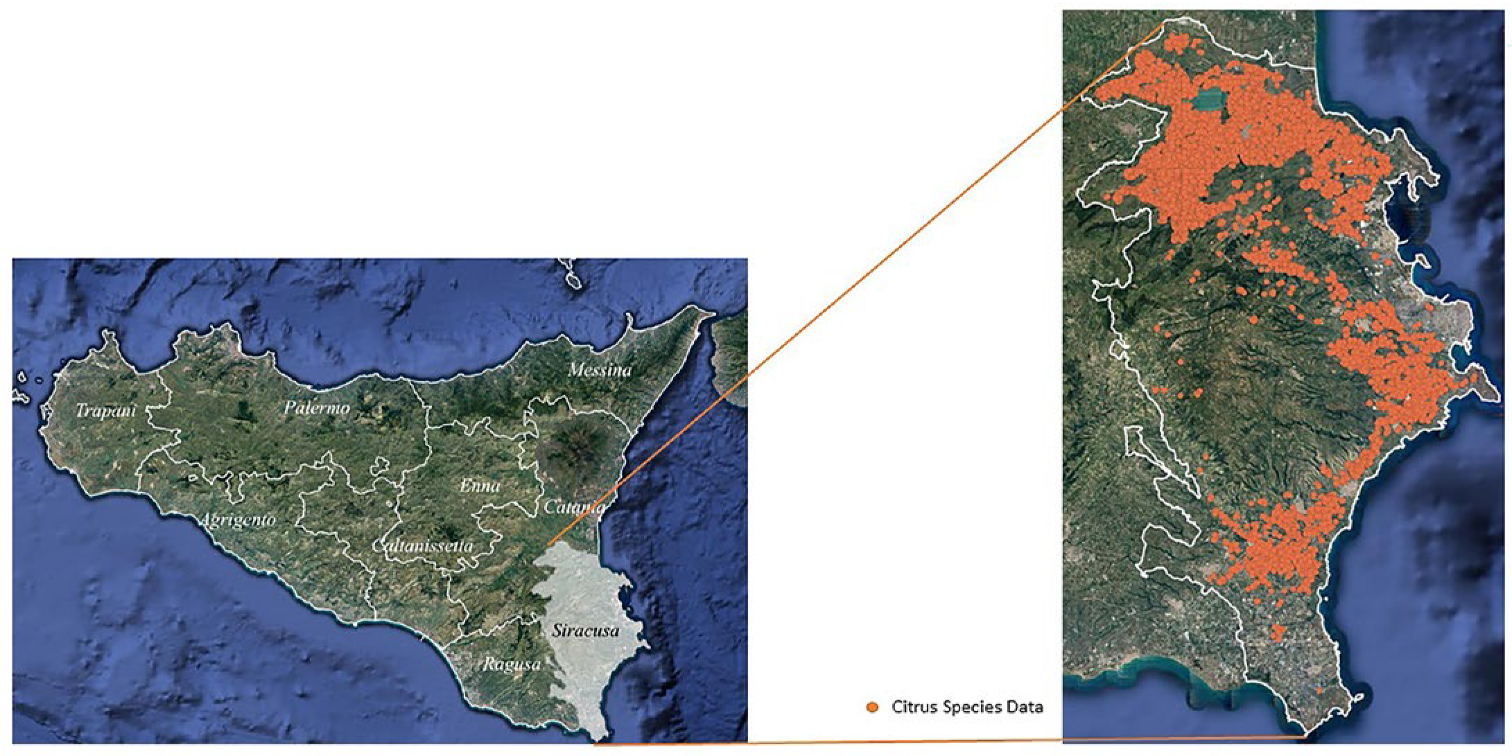 Agronomy 13 00549 g001