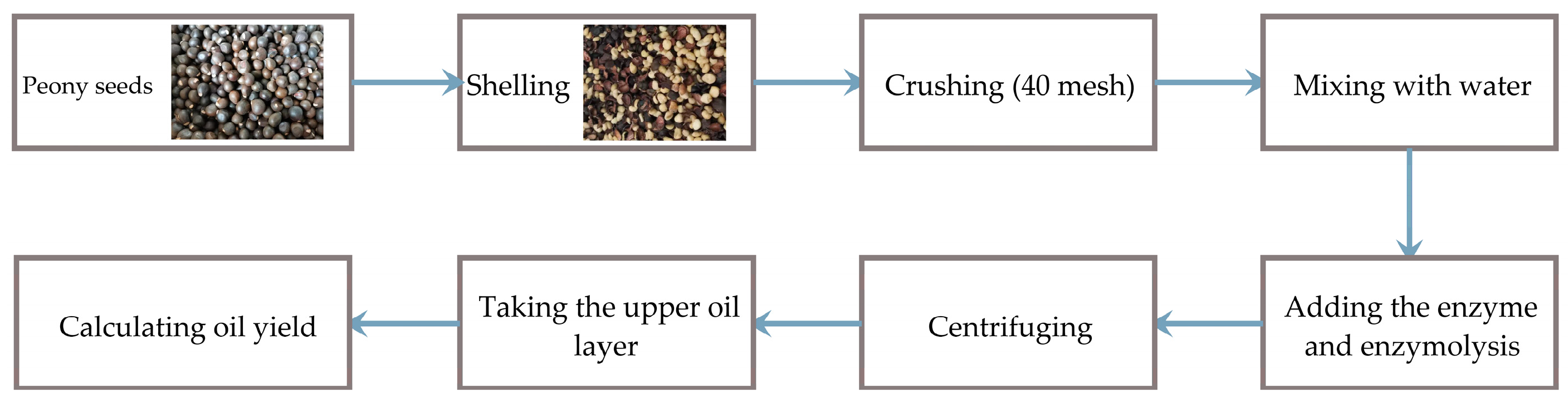 Agronomy 13 00555 g001