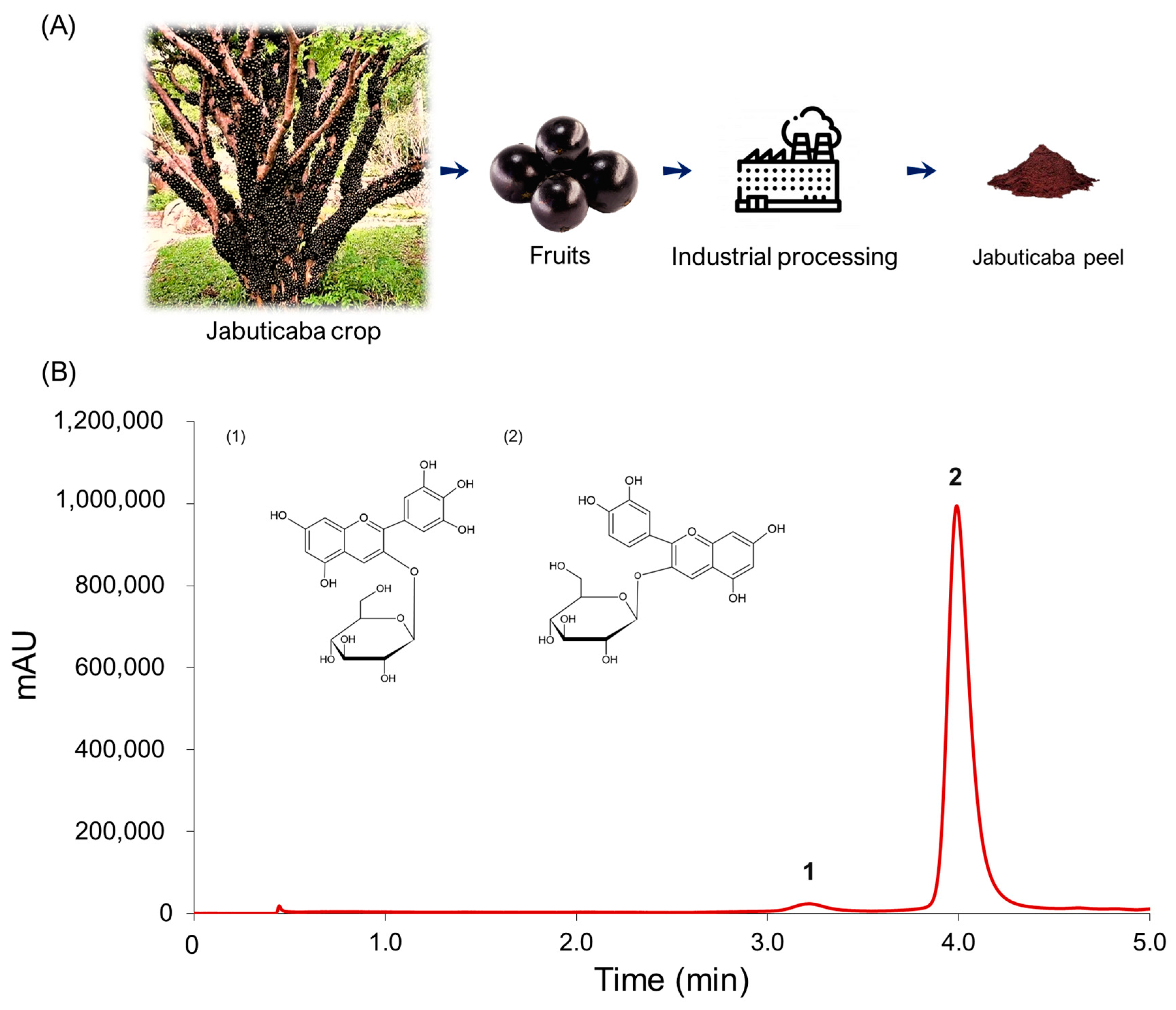 Agronomy 13 00556 g001