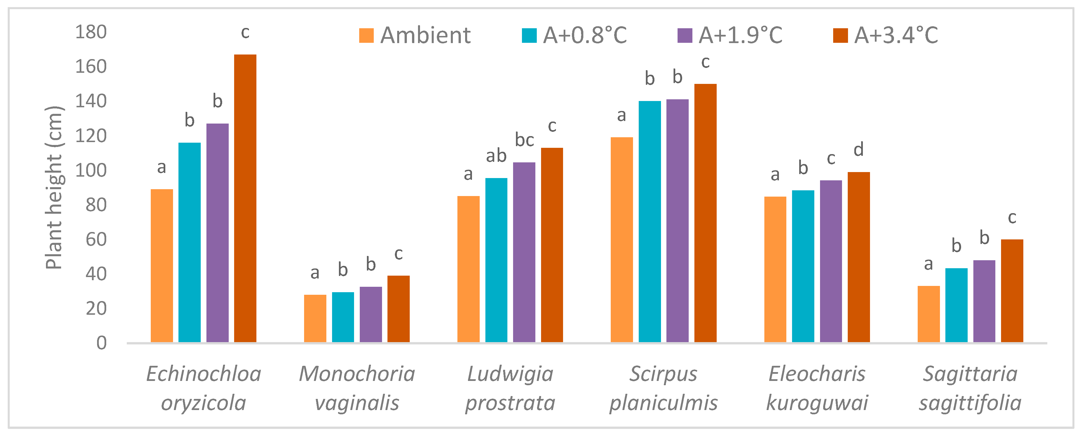 Agronomy 13 00559 g001