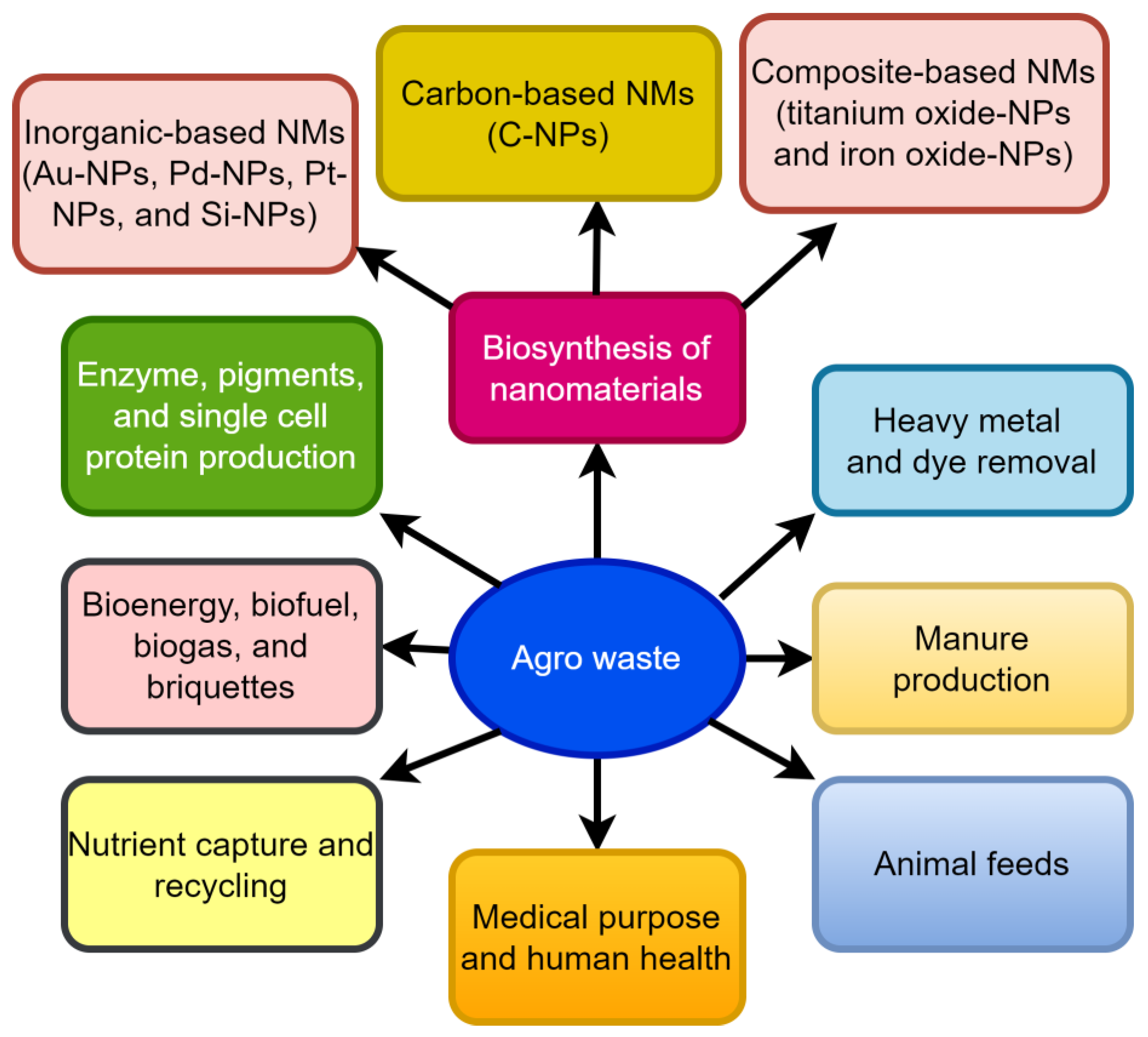 Agronomy 13 00561 g001