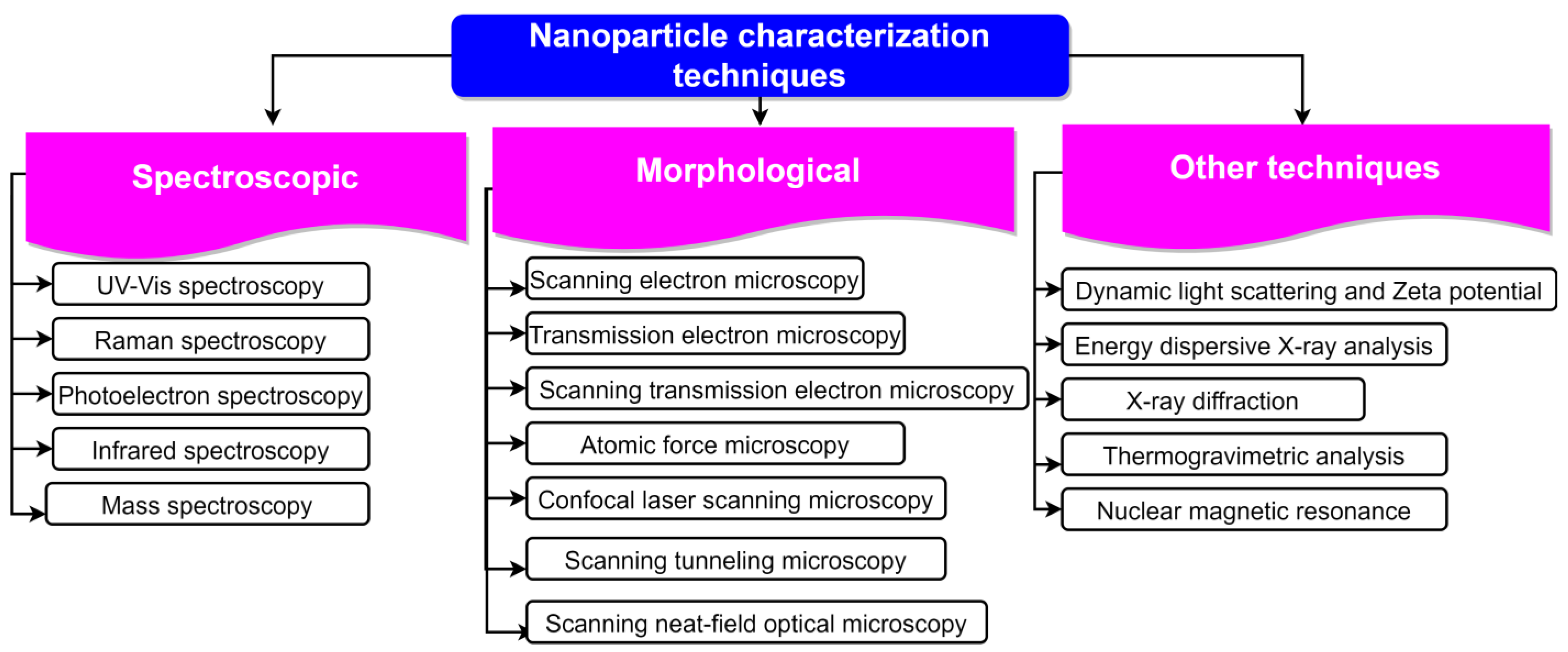 Agronomy 13 00561 g006