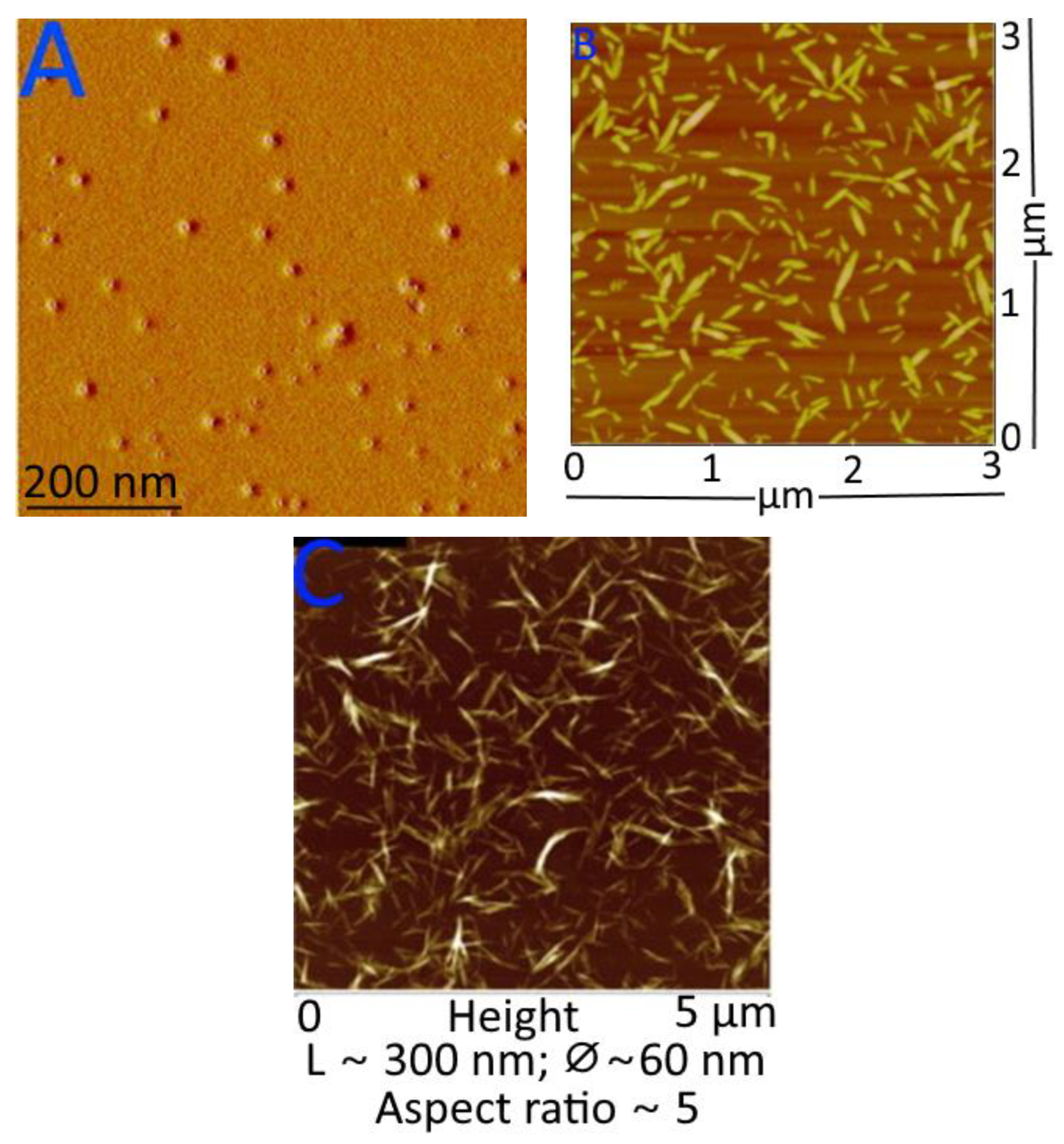Agronomy 13 00561 g008